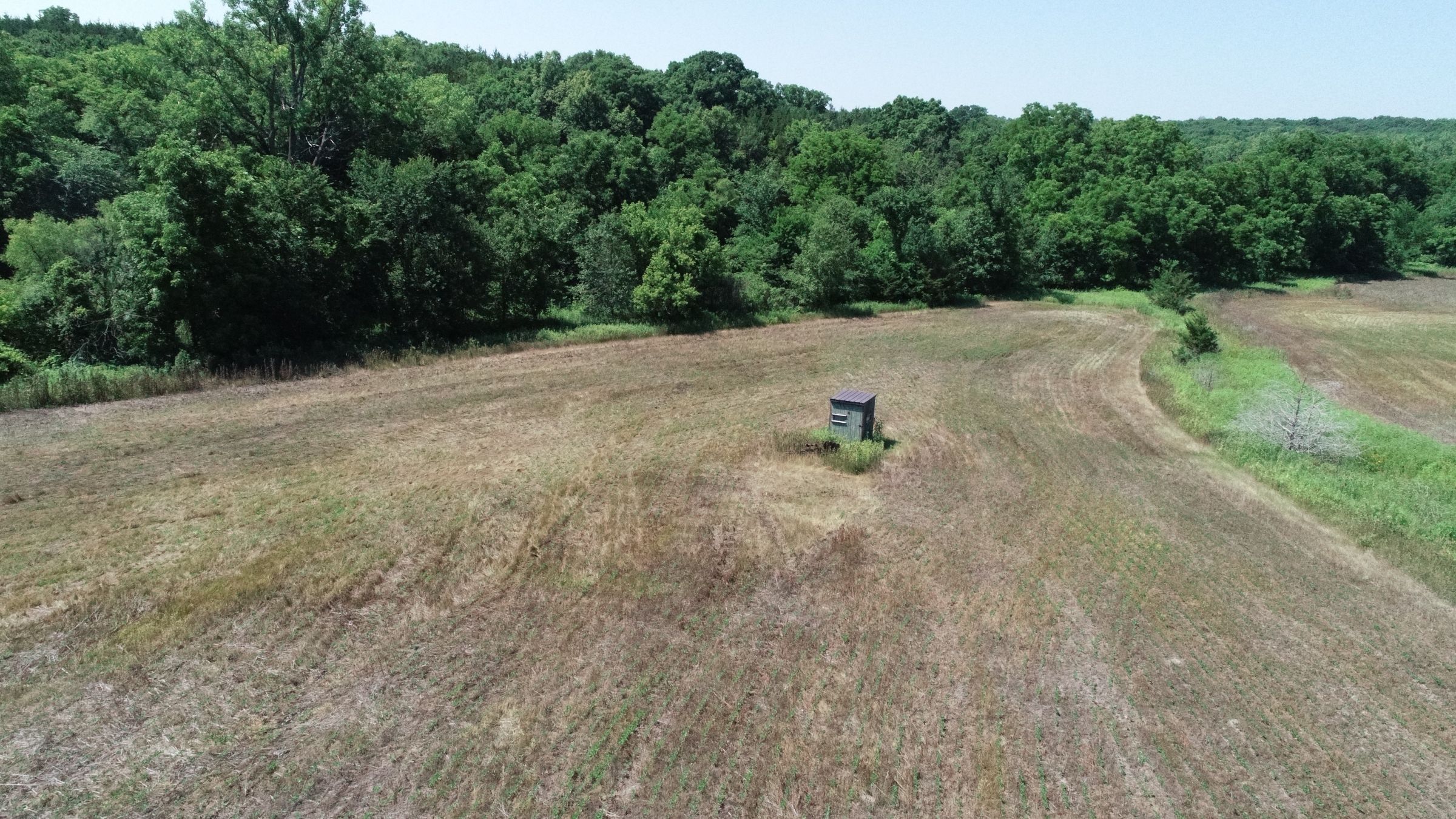 land-decatur-county-iowa-40-acres-listing-number-15069-2-2020-07-13-190427.JPG