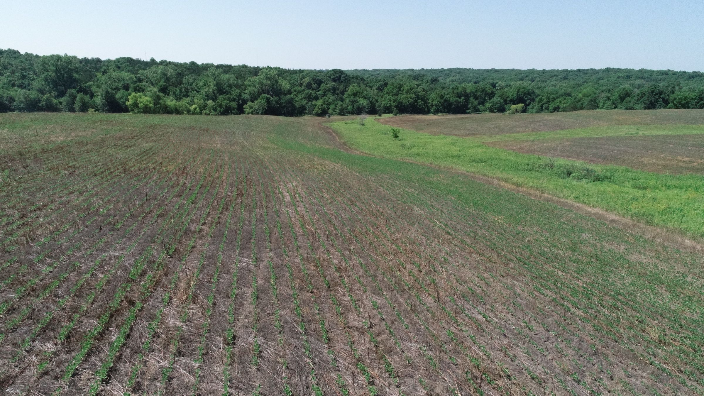 land-decatur-county-iowa-40-acres-listing-number-15069-4-2020-07-13-190430.JPG