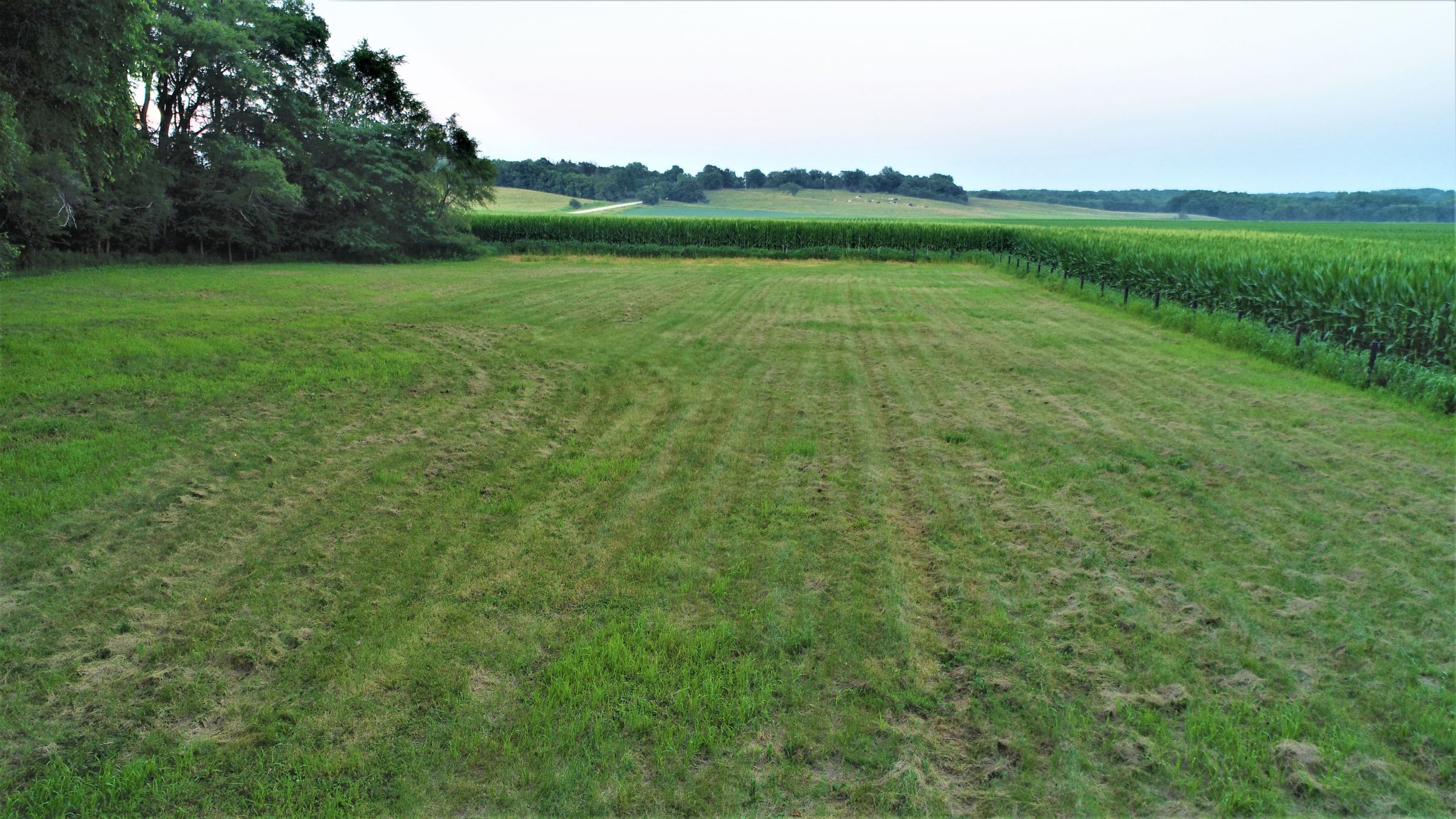 land-dallas-county-iowa-4-acres-listing-number-15072-10-2020-07-17-172631.JPG