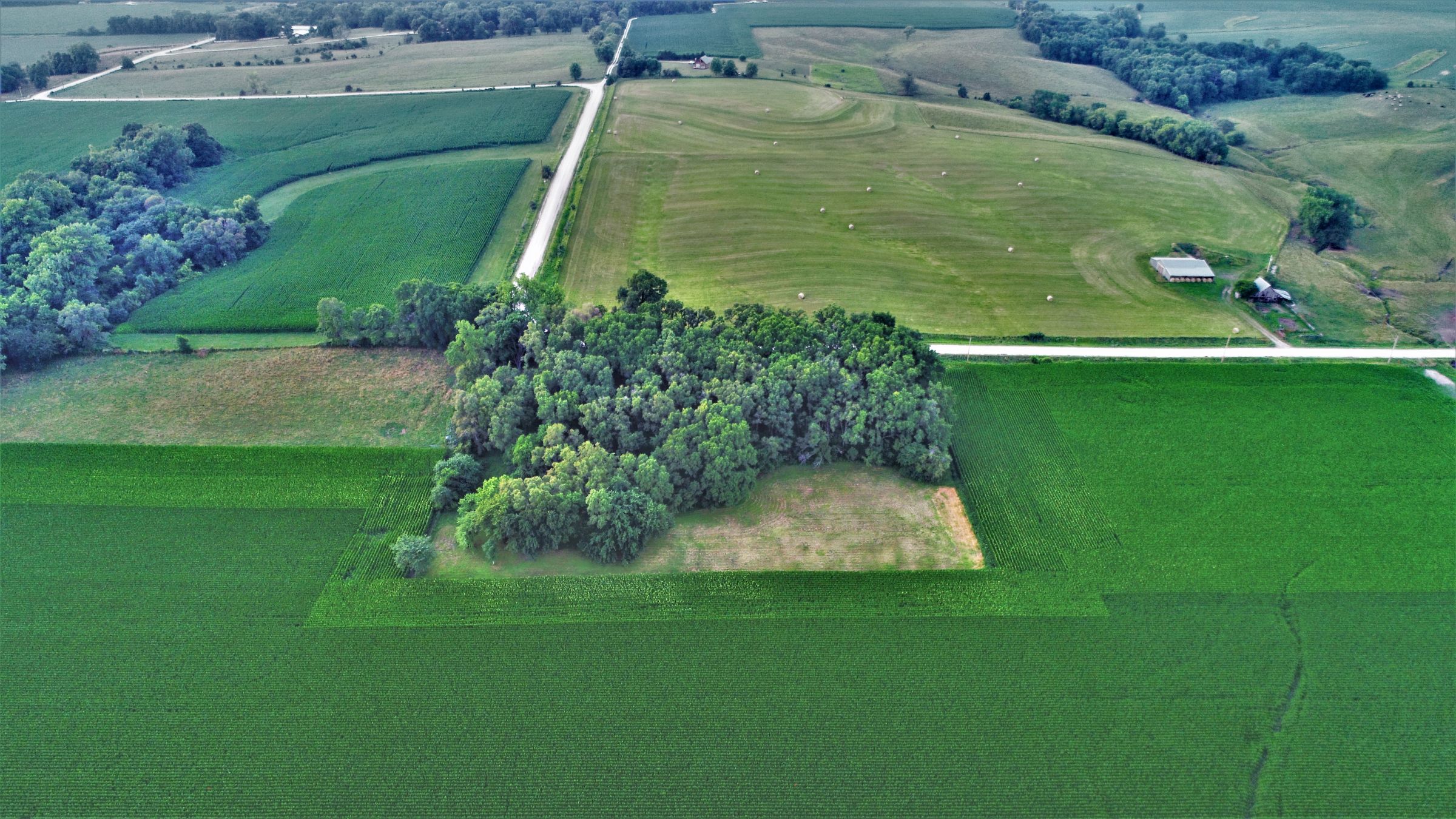 land-dallas-county-iowa-4-acres-listing-number-15072-4-2020-07-17-172621.JPG