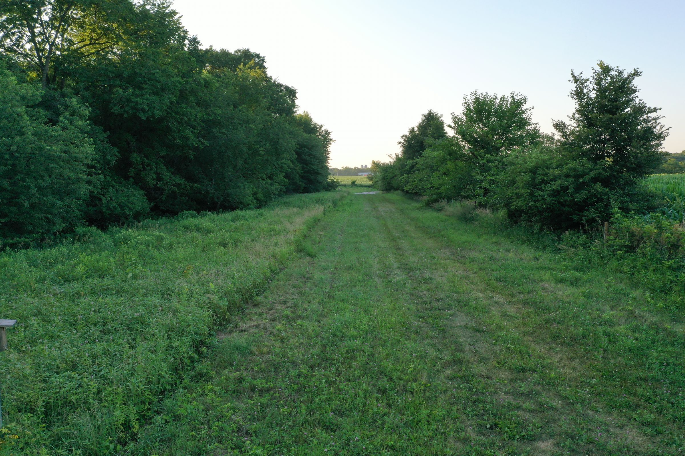 land-dallas-county-iowa-55-acres-listing-number-15081-4-2020-07-23-162424.JPG