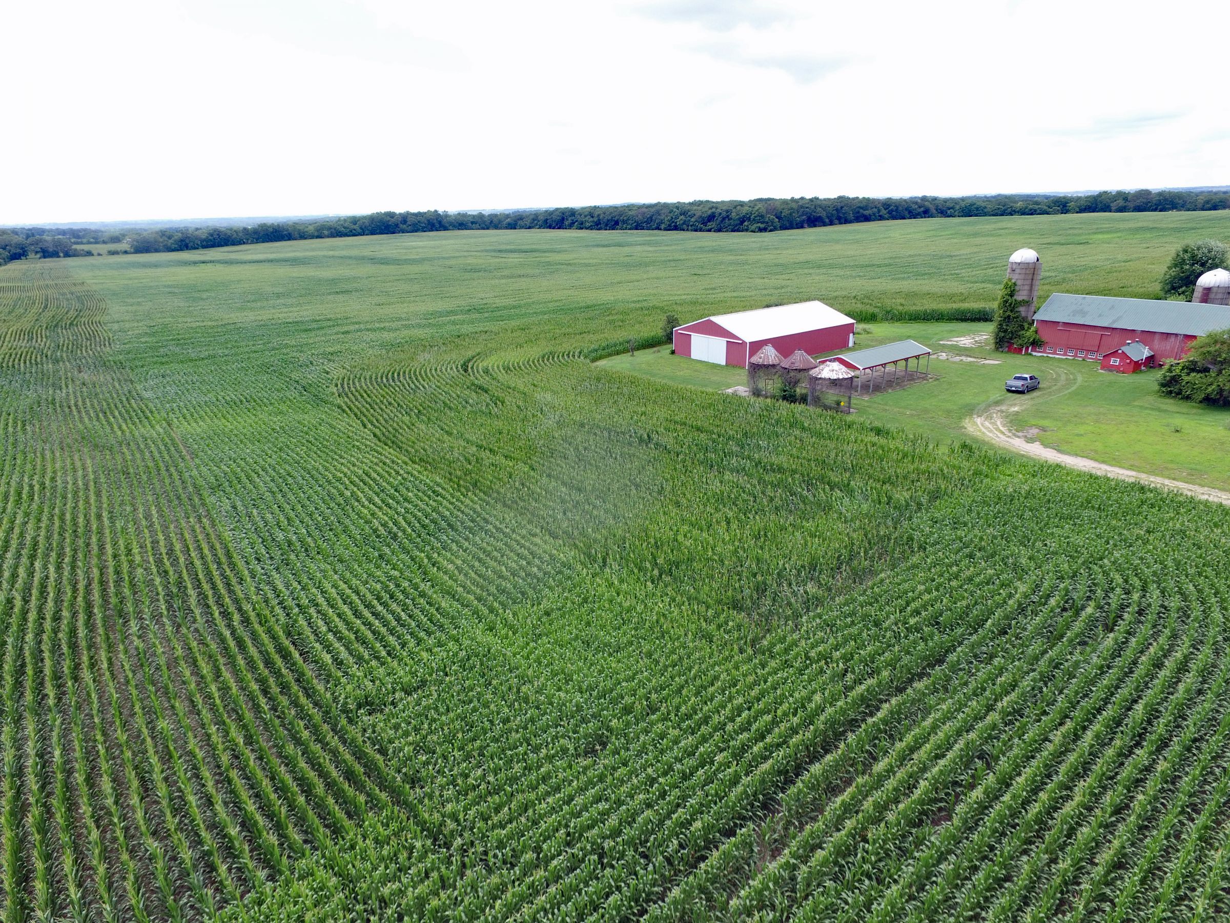 land-winnebago-county-illinois-127-acres-listing-number-15094-1-2020-08-03-160422.jpg