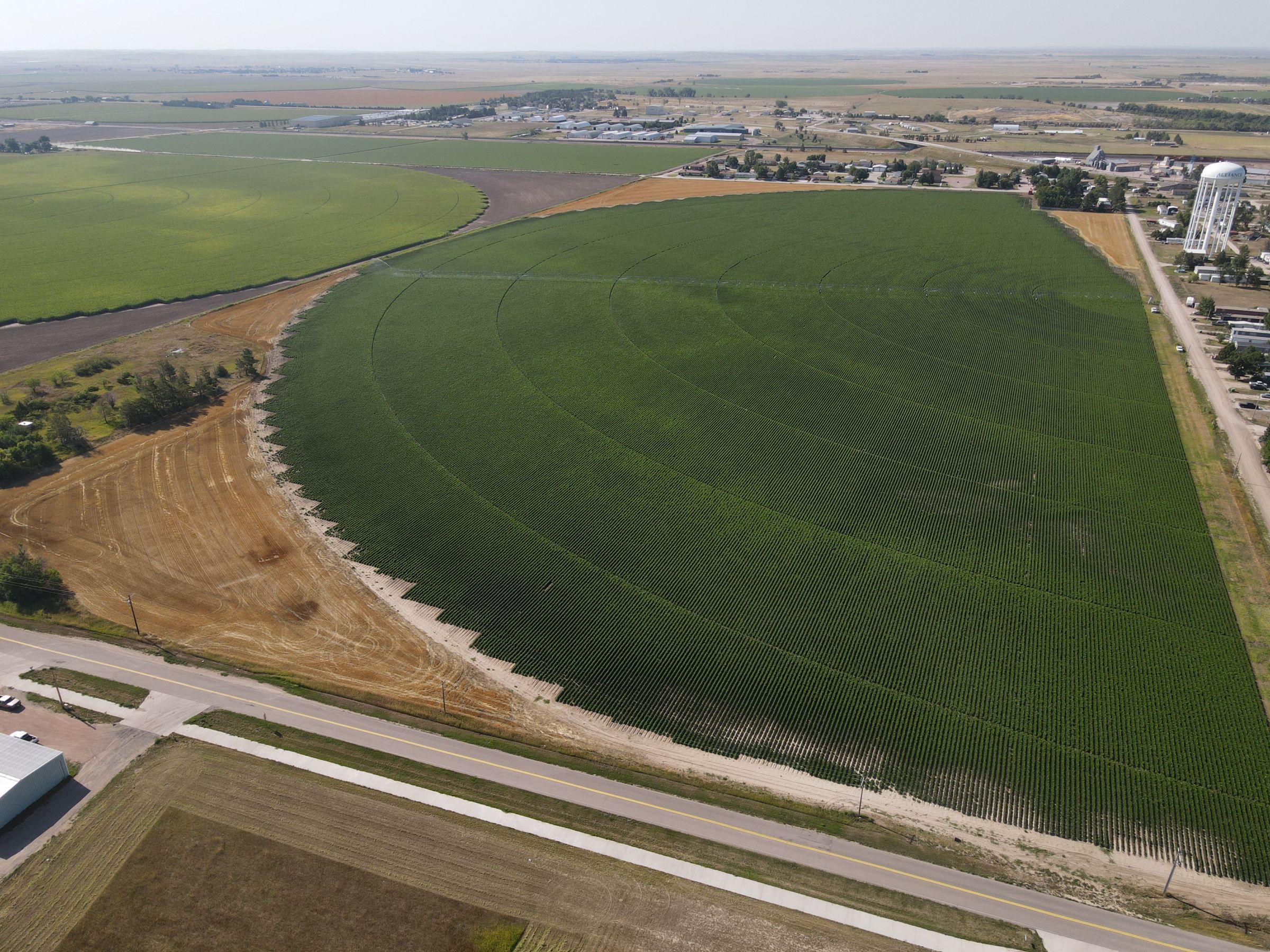 land-box-butte-county-nebraska-73-acres-listing-number-15097-0-2020-08-07-162359.JPG