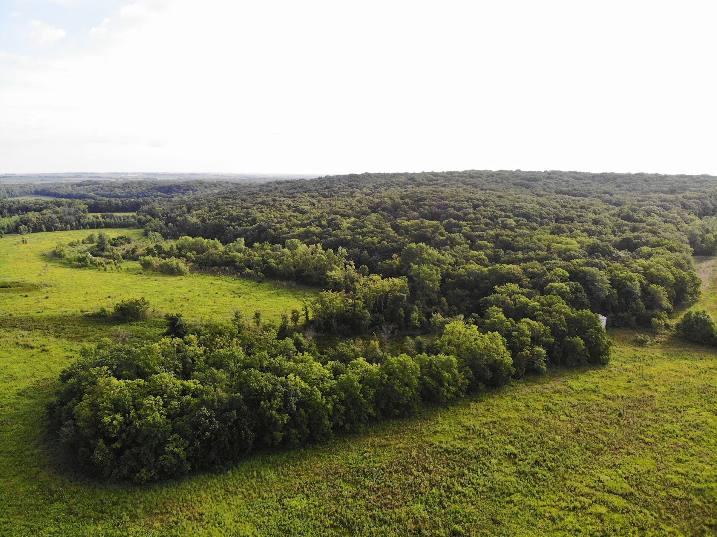 land-warren-county-iowa-20-acres-listing-number-15099-6-2020-08-01-161008.jpg