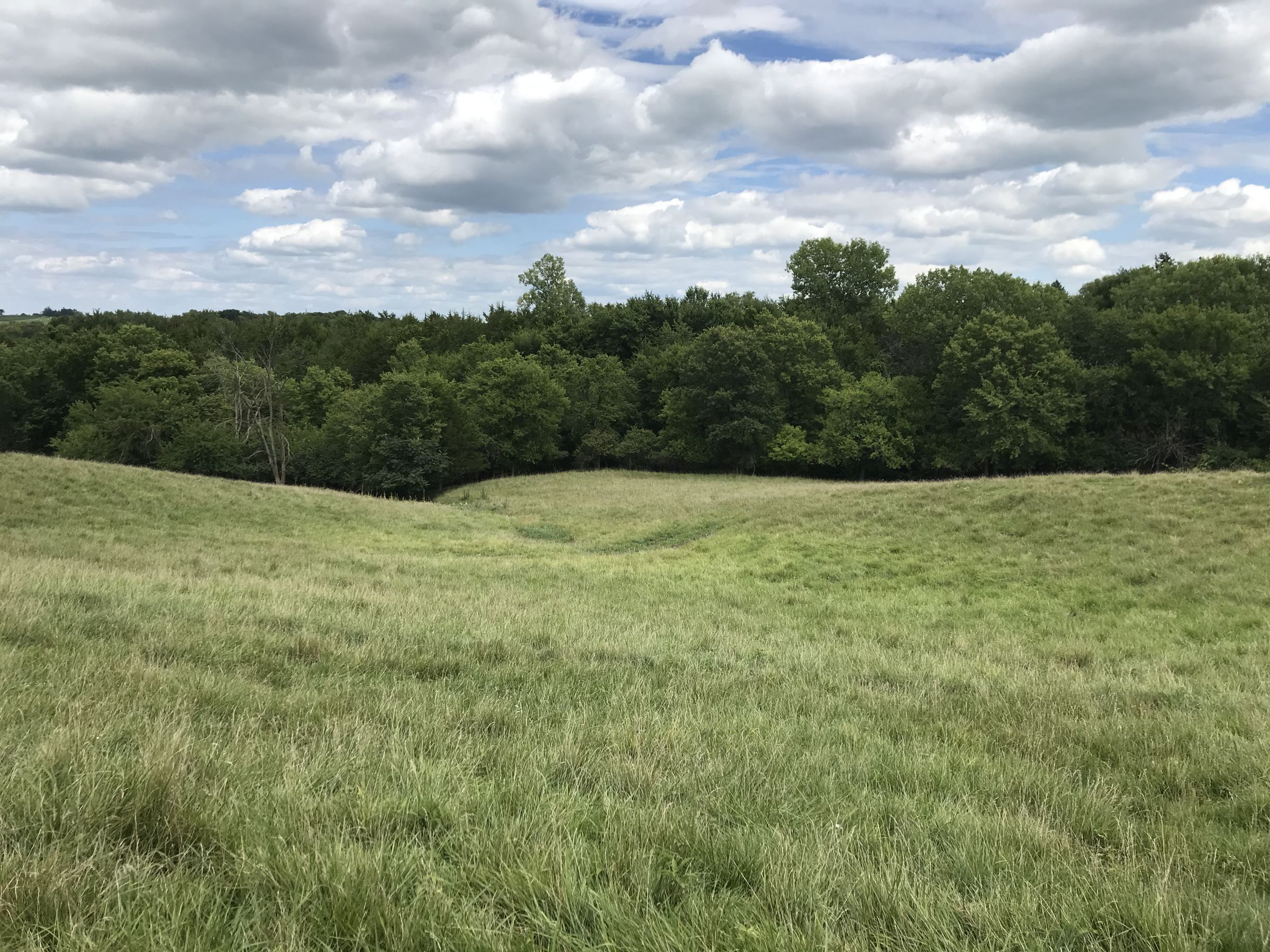 warren-county-iowa-0-acres-listing-number-15104-11-2020-08-05-204958.JPG