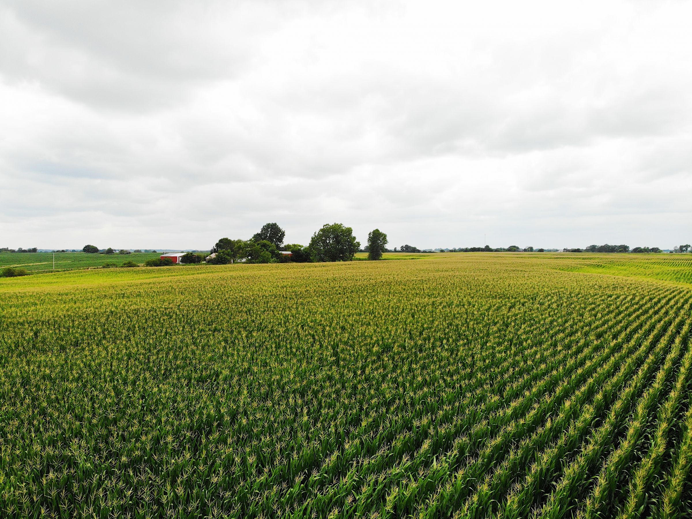 land-clarke-county-iowa-72-acres-listing-number-15106-4-2020-08-09-034305.jpg