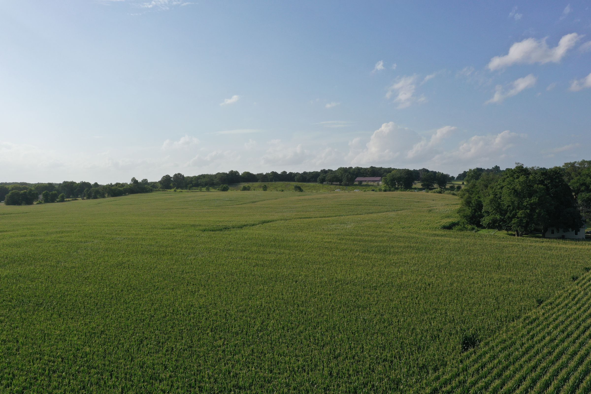 Dallas County Farmland For Sale