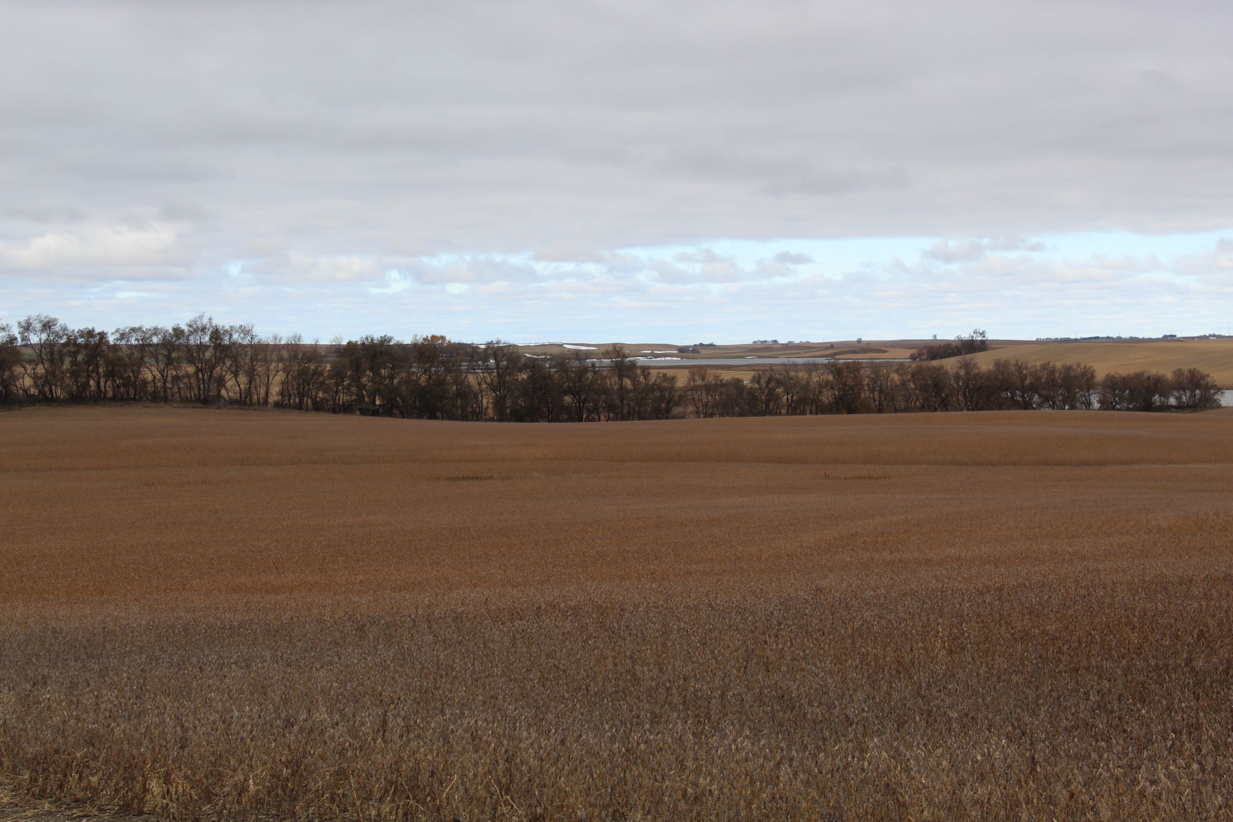 stutsman-county-north-dakota-312-acres-listing-number-15116-0-2020-08-12-141904.JPG