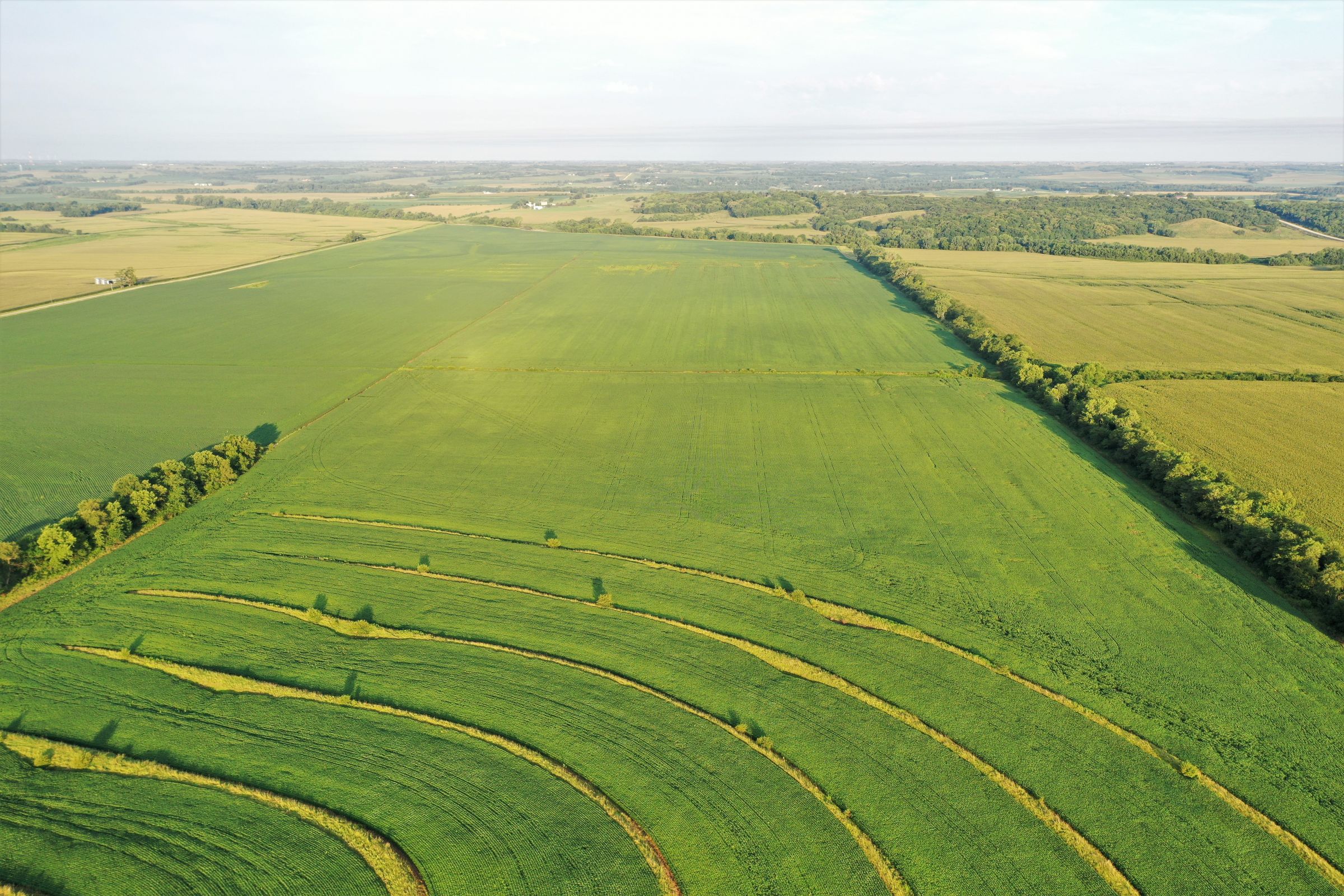 land-page-county-iowa-160-acres-listing-number-15117-3-2020-08-13-162606.jpg