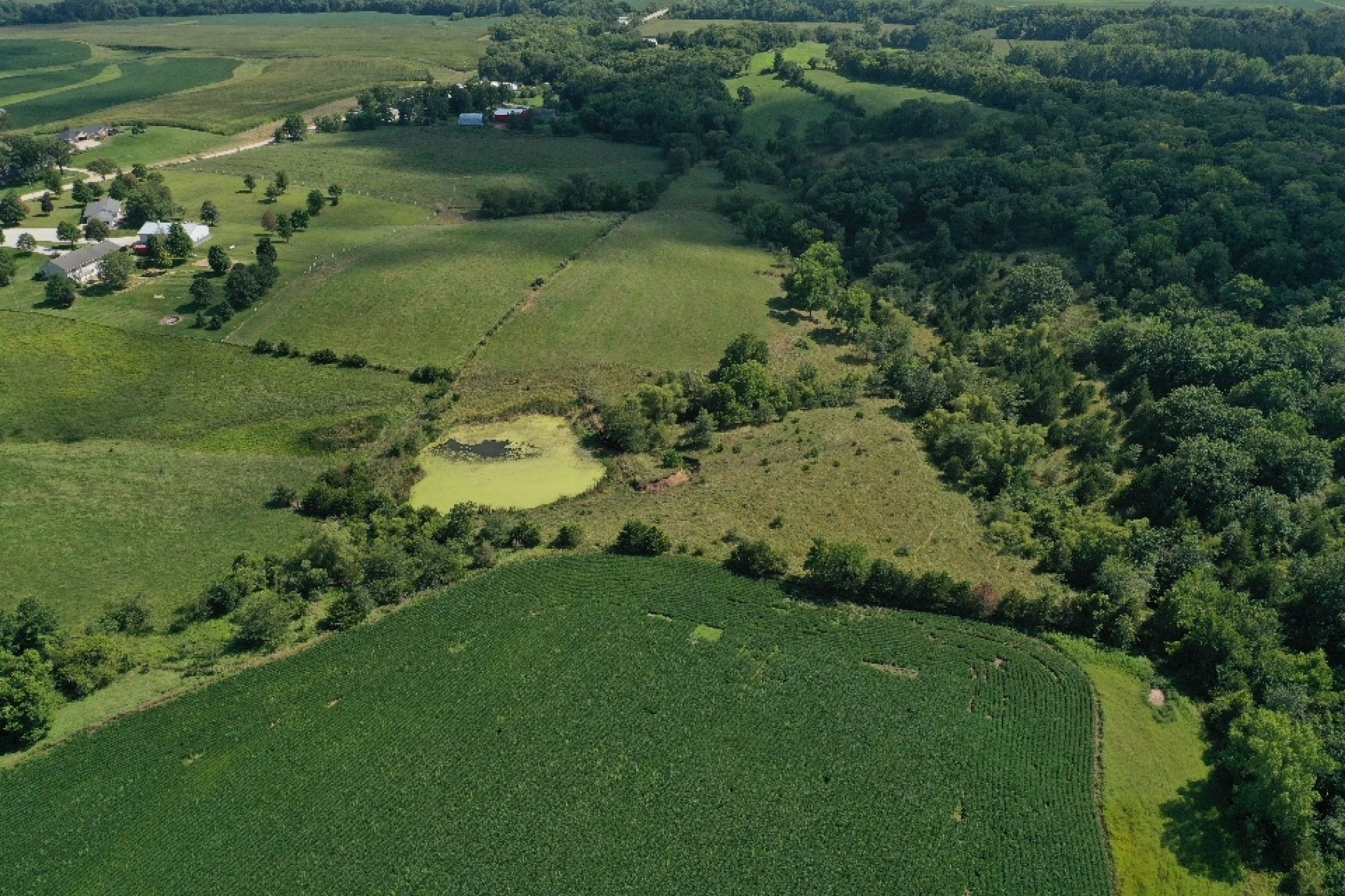 residential-land-warren-county-iowa-29-acres-listing-number-15120-6-2020-08-20-195122.jpg