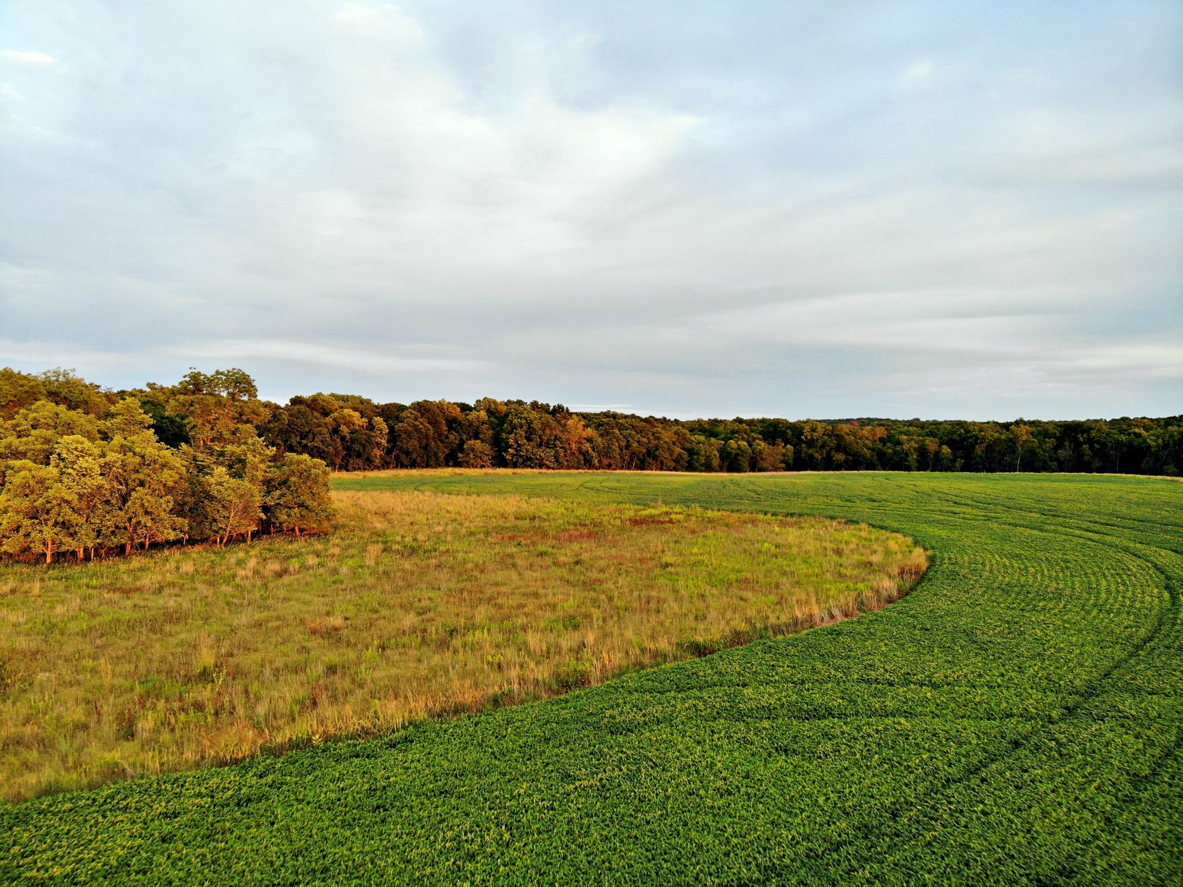 land-madison-county-iowa-123-acres-listing-number-15122-0-2020-08-24-022514.jpg