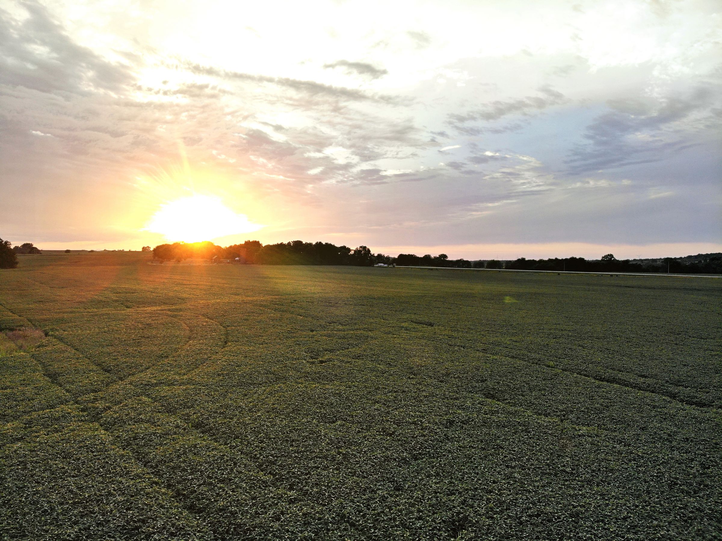 land-madison-county-iowa-123-acres-listing-number-15122-3-2020-08-24-022307.jpg