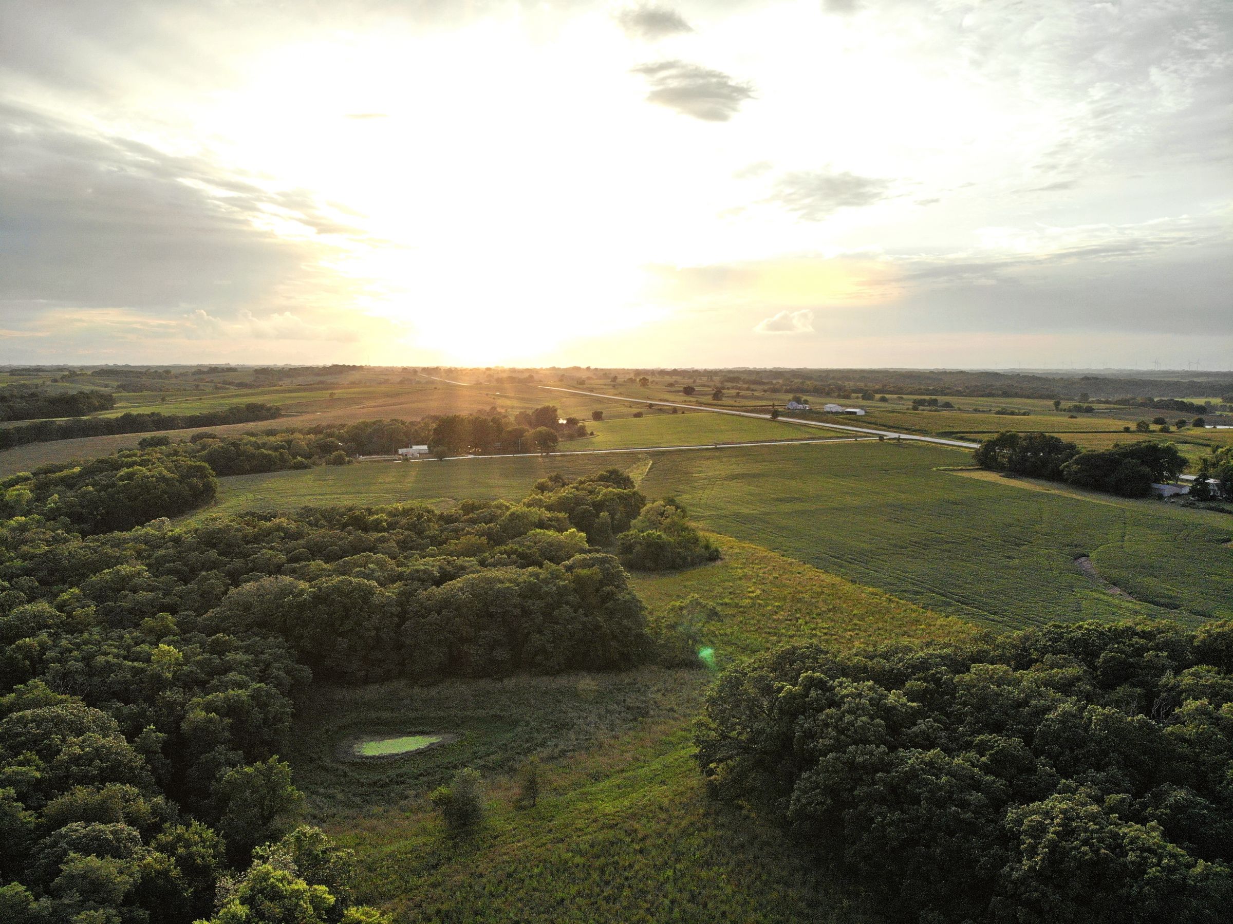 land-madison-county-iowa-123-acres-listing-number-15122-3-2020-08-24-022518.jpg