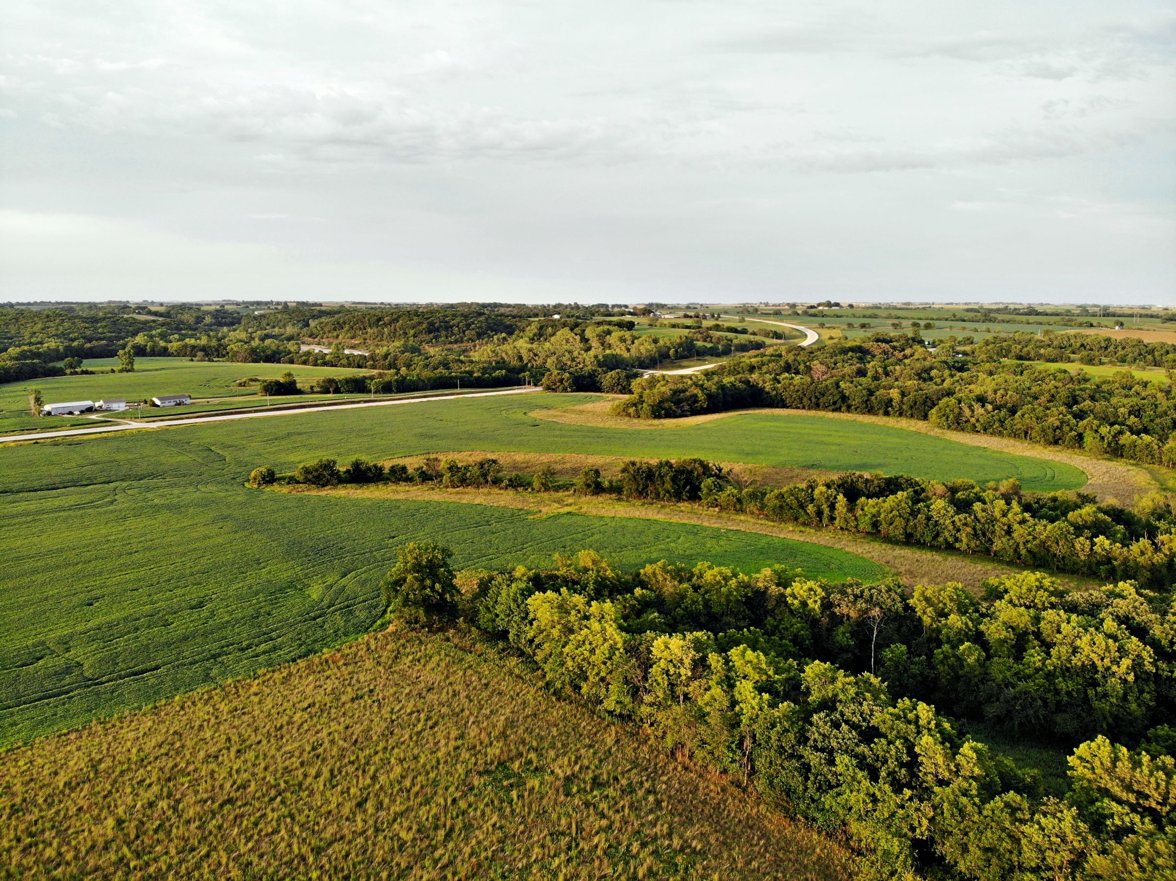 land-madison-county-iowa-123-acres-listing-number-15122-4-2020-08-24-022309.jpg