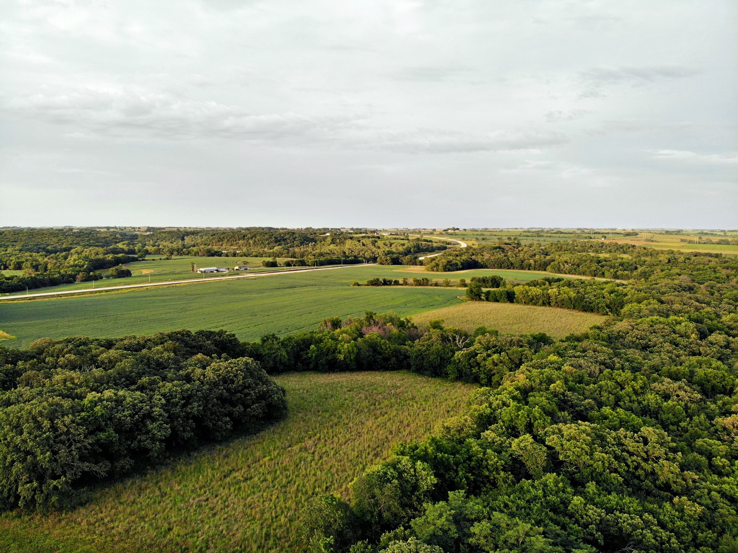 land-madison-county-iowa-123-acres-listing-number-15122-5-2020-08-24-022310.jpg