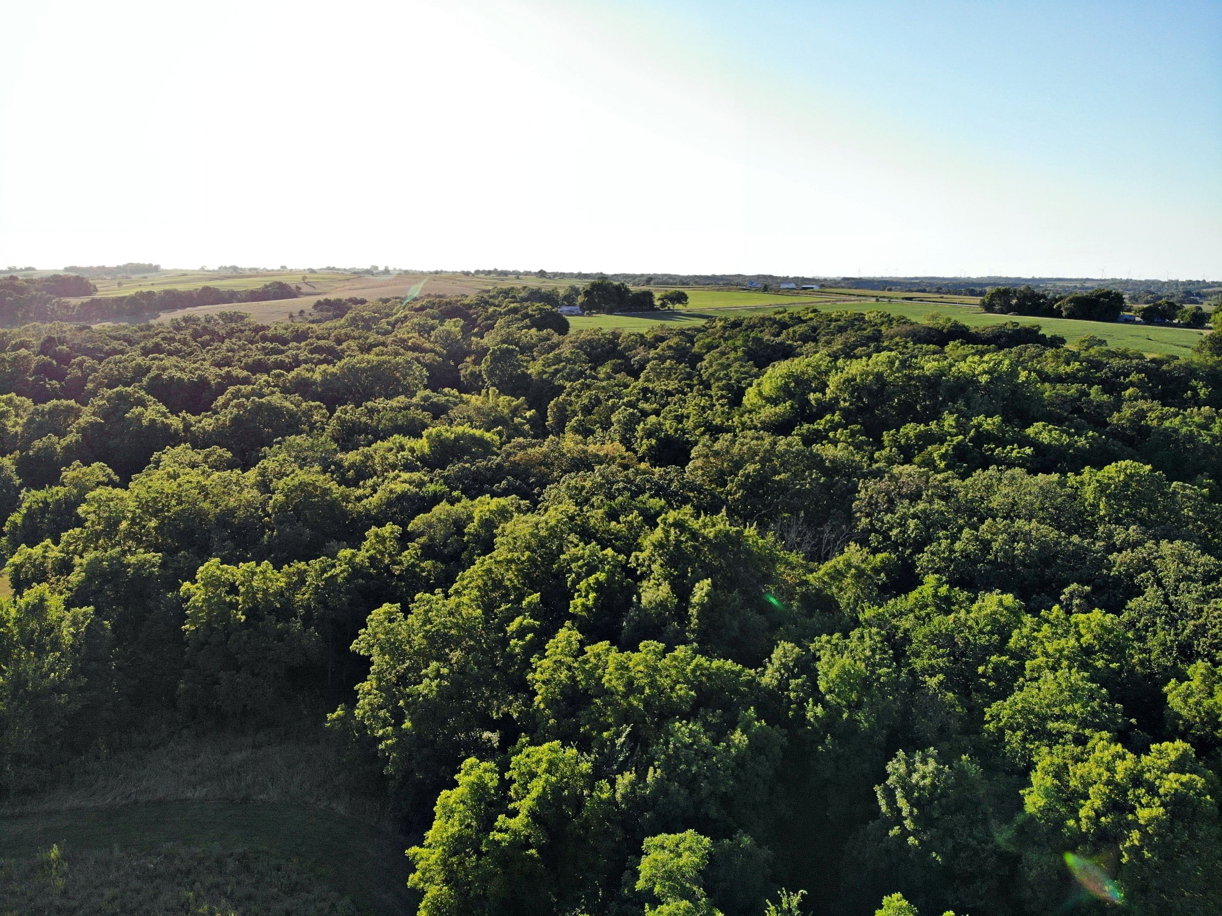 residential-land-madison-county-iowa-106-acres-listing-number-15123-0-2020-08-24-023312.JPG