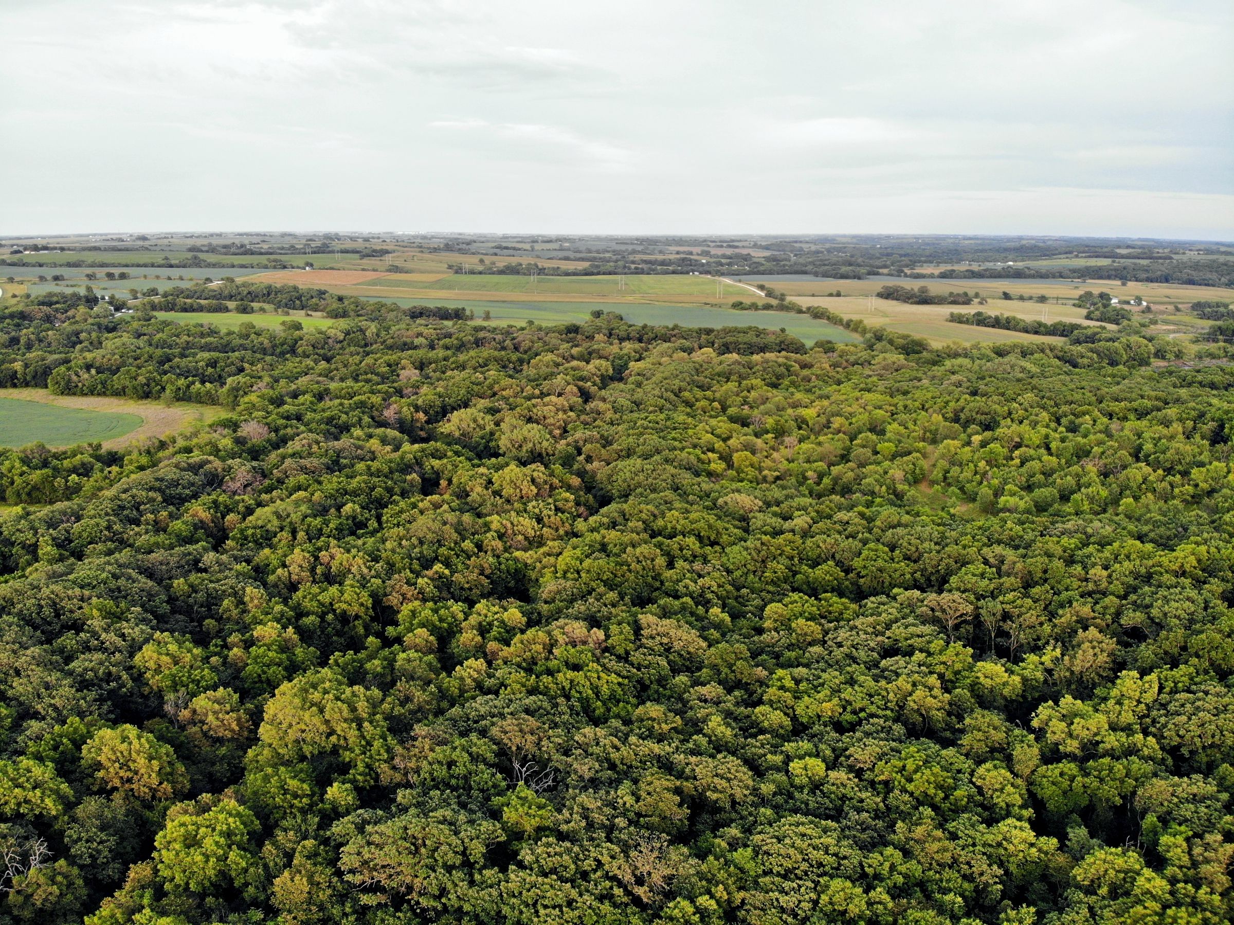 residential-land-madison-county-iowa-106-acres-listing-number-15123-5-2020-08-24-023319.JPG