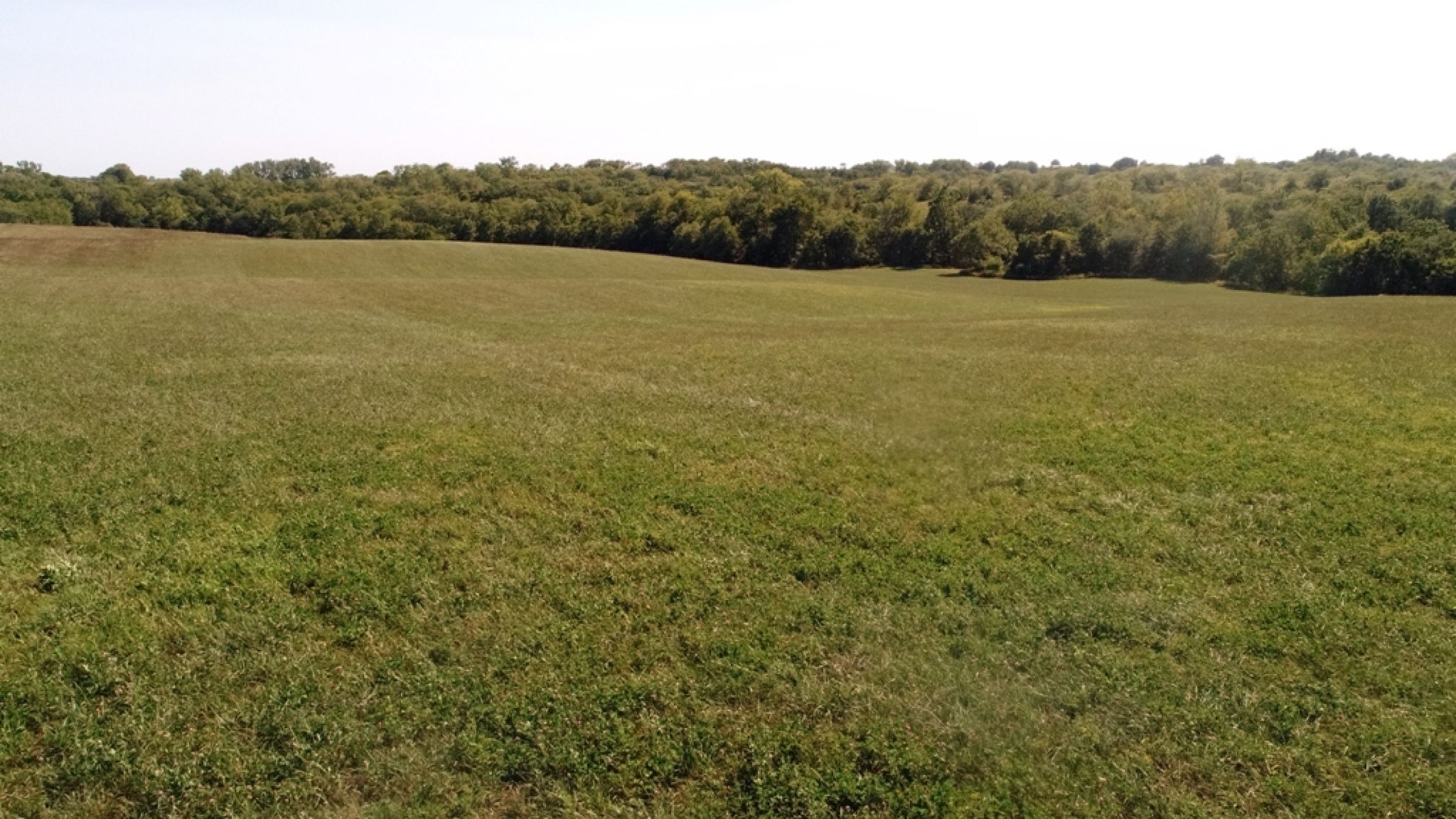 land-lucas-county-iowa-106-acres-listing-number-15133-3-2020-09-04-182129.JPG