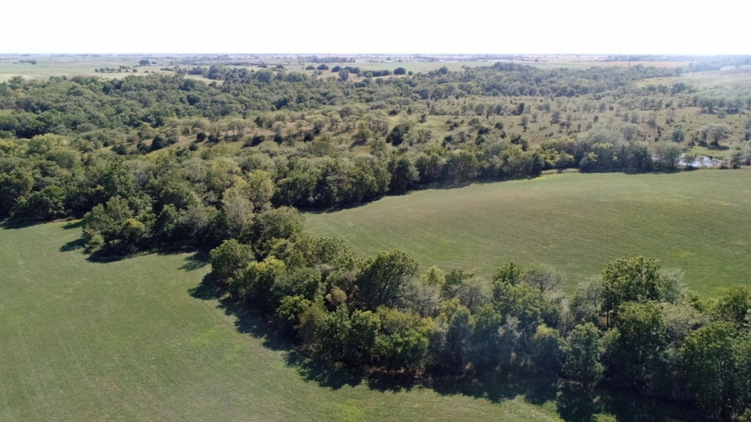 land-lucas-county-iowa-106-acres-listing-number-15133-4-2020-09-04-182130.JPG