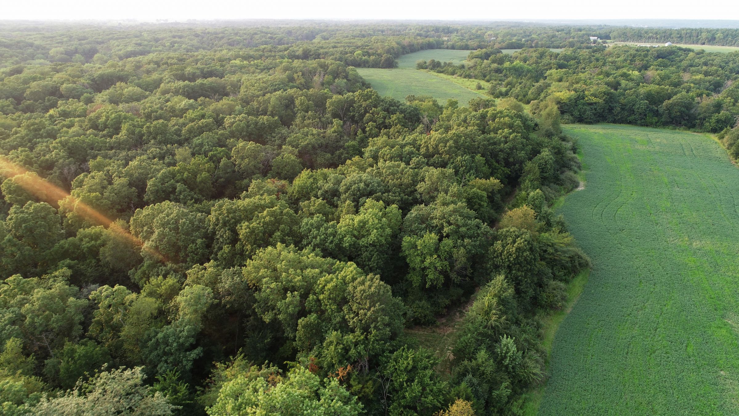 land-lee-county-iowa-328-acres-listing-number-15137-13-2020-08-27-175045.jpg