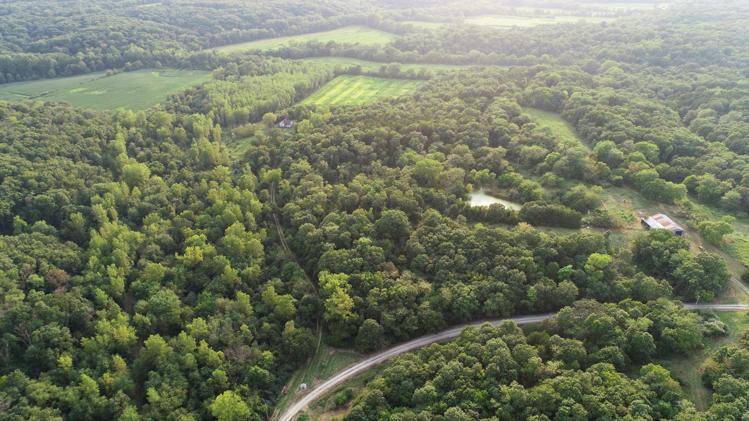 land-lee-county-iowa-328-acres-listing-number-15137-4-2020-08-27-175033.jpg