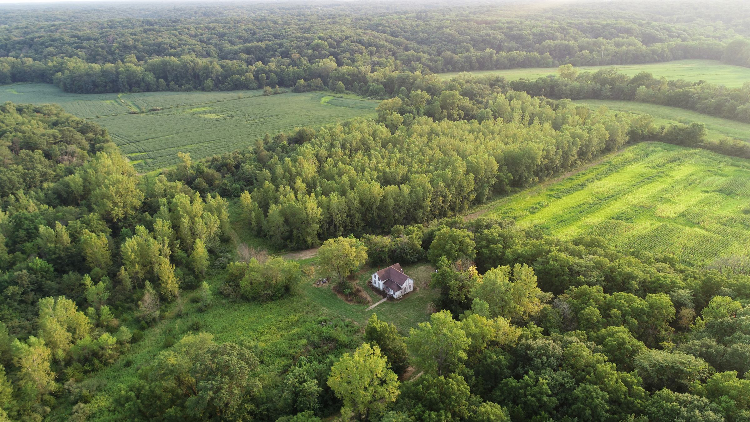 land-lee-county-iowa-328-acres-listing-number-15137-7-2020-08-27-175037.jpg