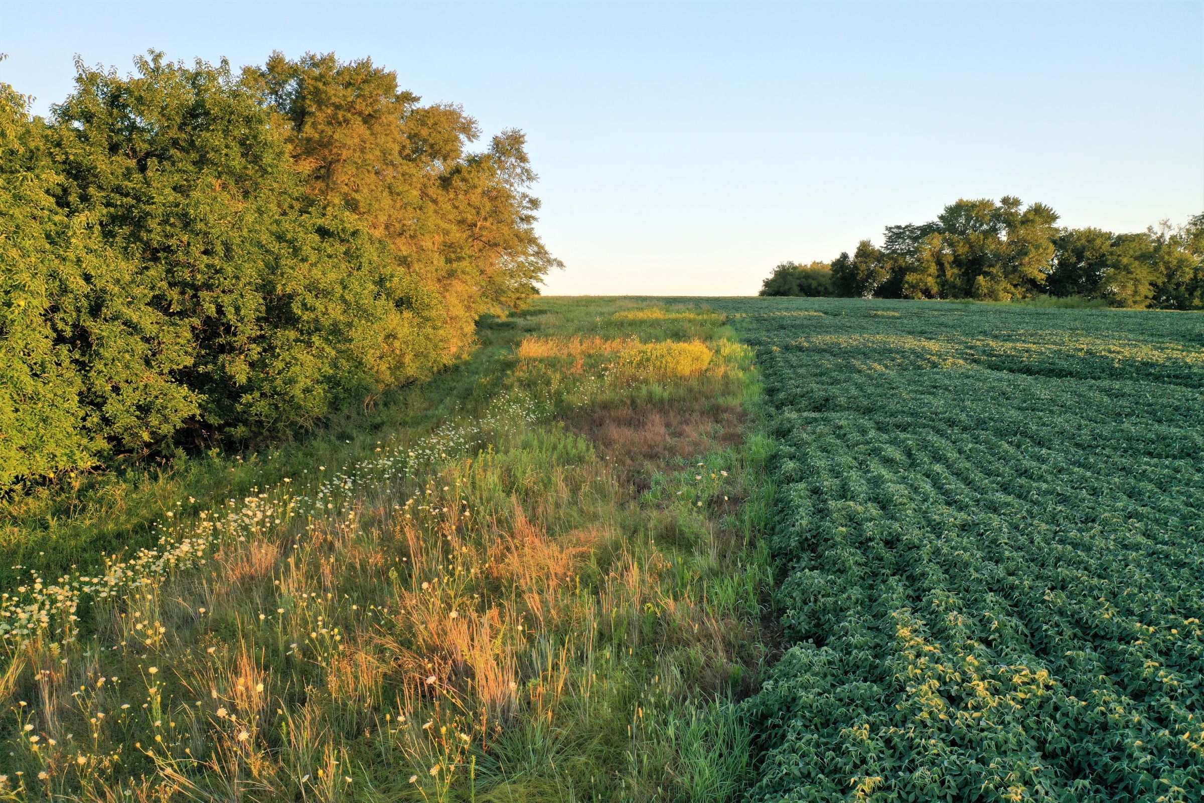 warren-county-iowa-40-acres-listing-number-15145-3-2020-08-28-144258.jpg