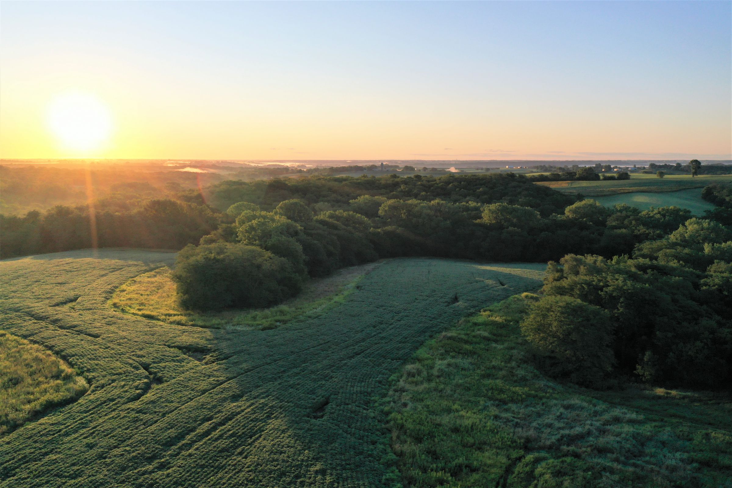 warren-county-iowa-40-acres-listing-number-15145-4-2020-08-28-144300.jpg