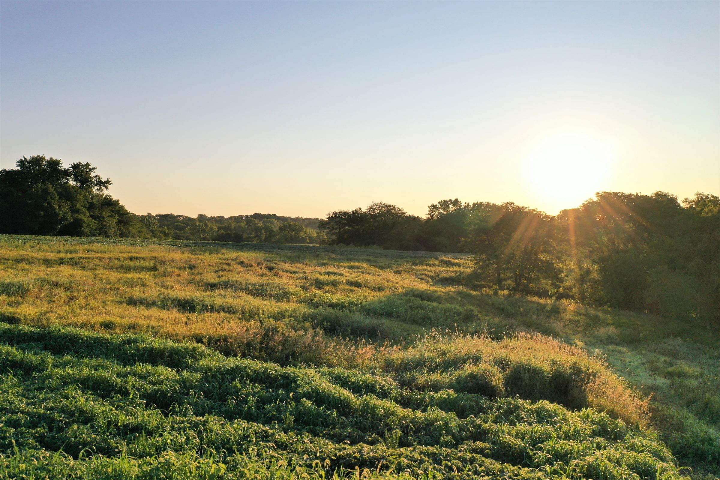 warren-county-iowa-40-acres-listing-number-15145-5-2020-08-28-144302.jpg