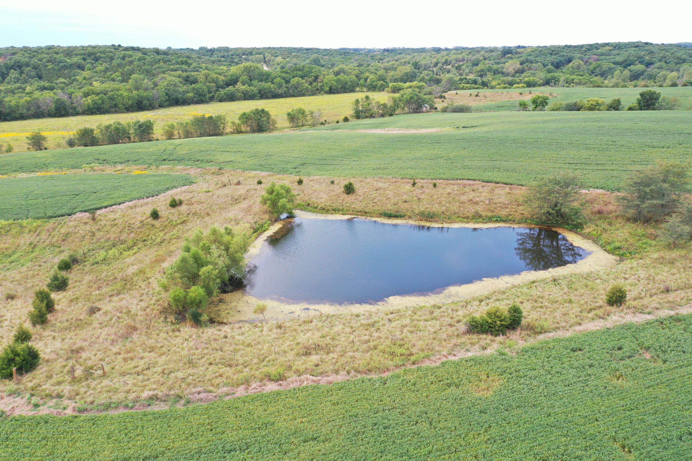 land-clarke-county-iowa-86-acres-listing-number-15147-0-2020-09-02-143145.jpg