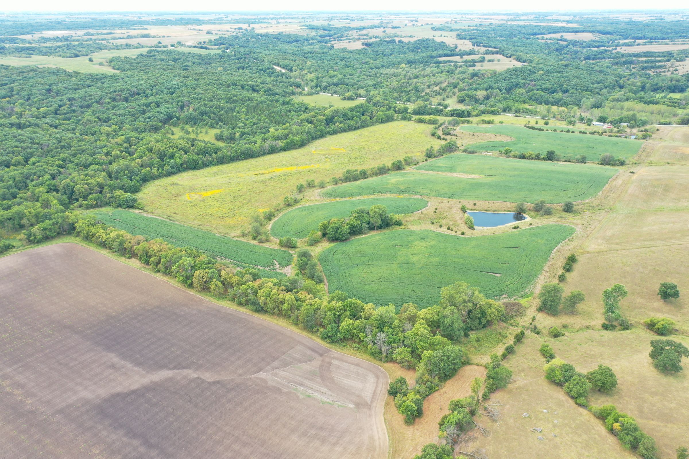 land-clarke-county-iowa-86-acres-listing-number-15147-0-2020-09-02-143250.jpg