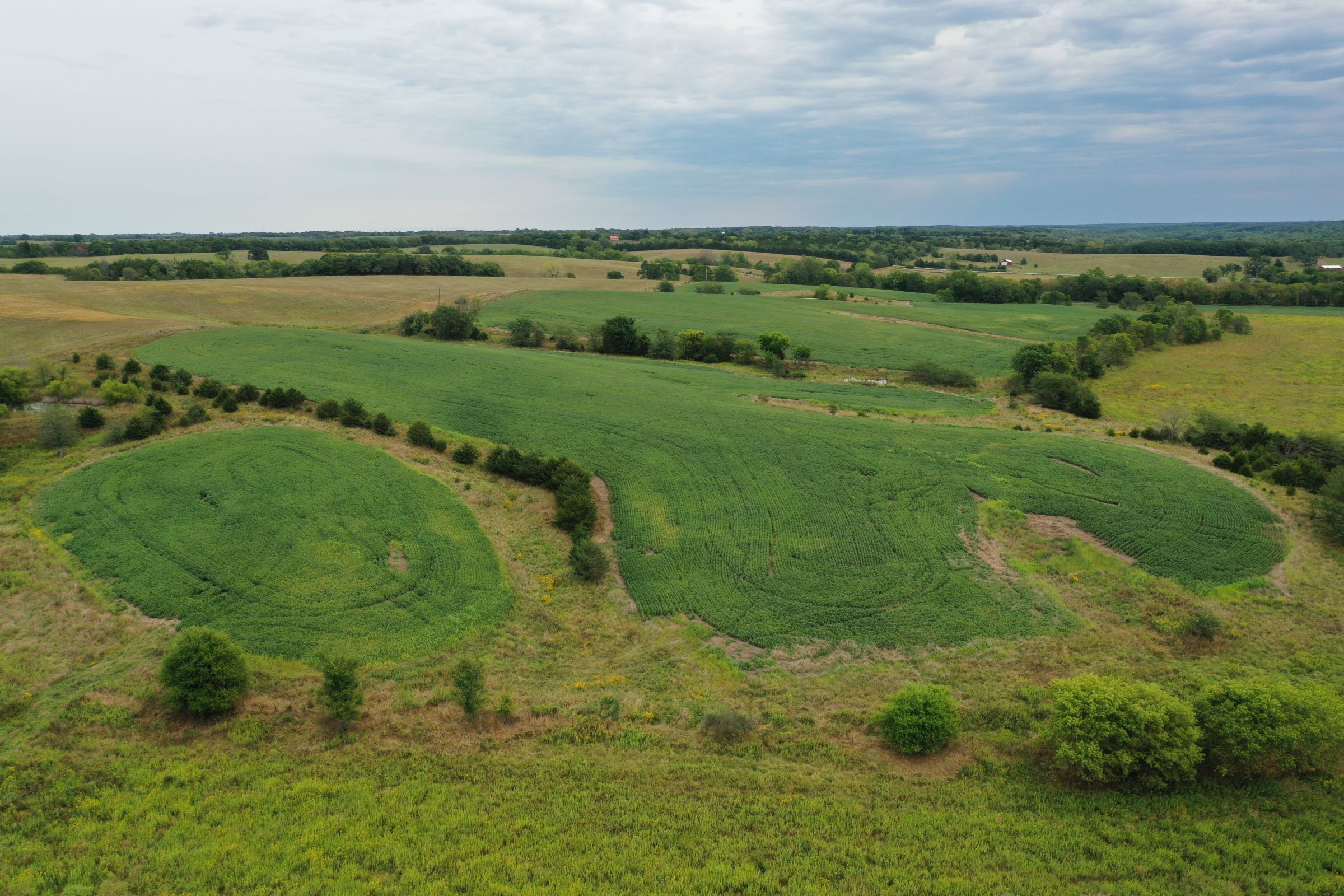 land-clarke-county-iowa-86-acres-listing-number-15147-0-2020-09-02-143355.jpg