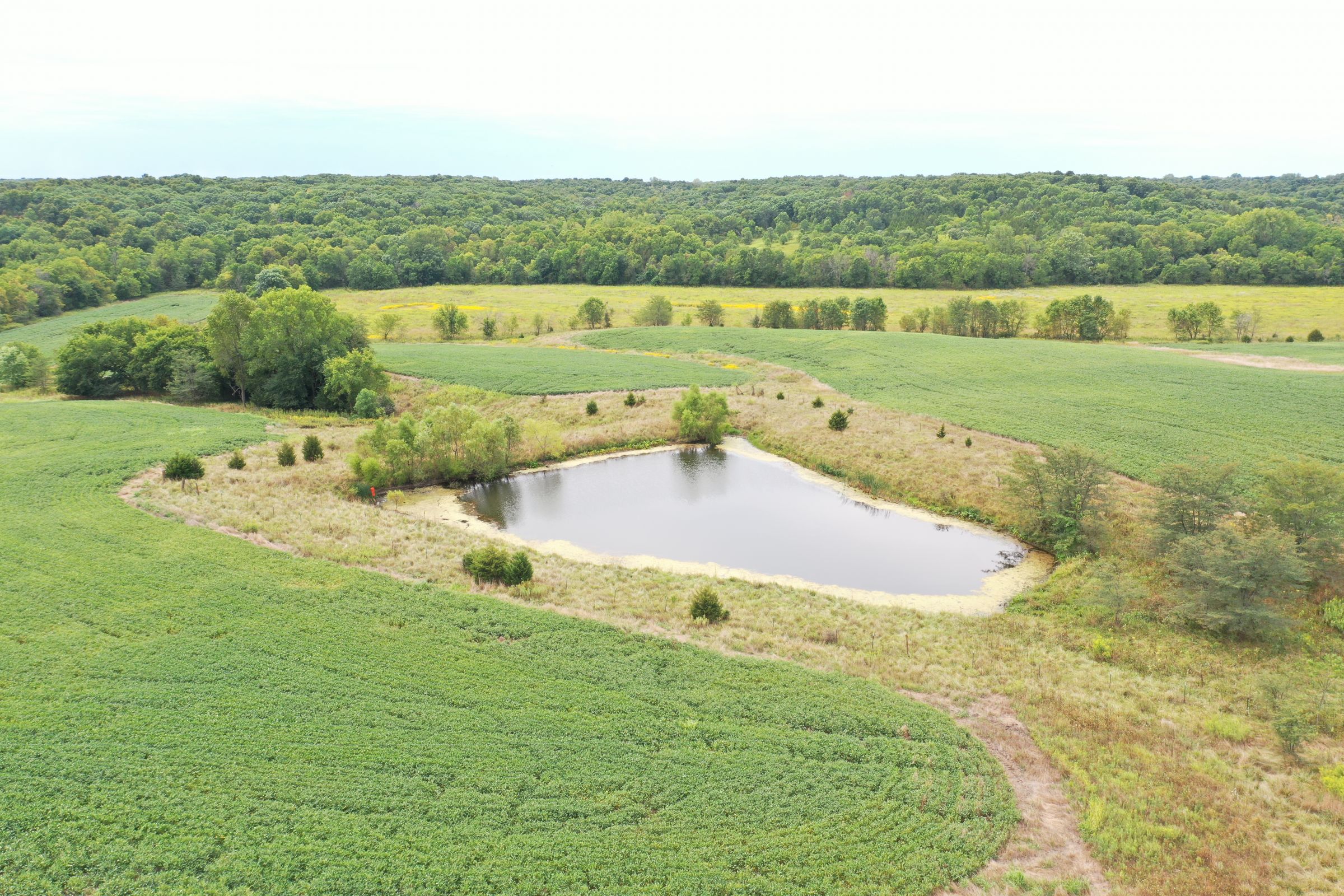 land-clarke-county-iowa-86-acres-listing-number-15147-0-2020-09-02-143452.jpg