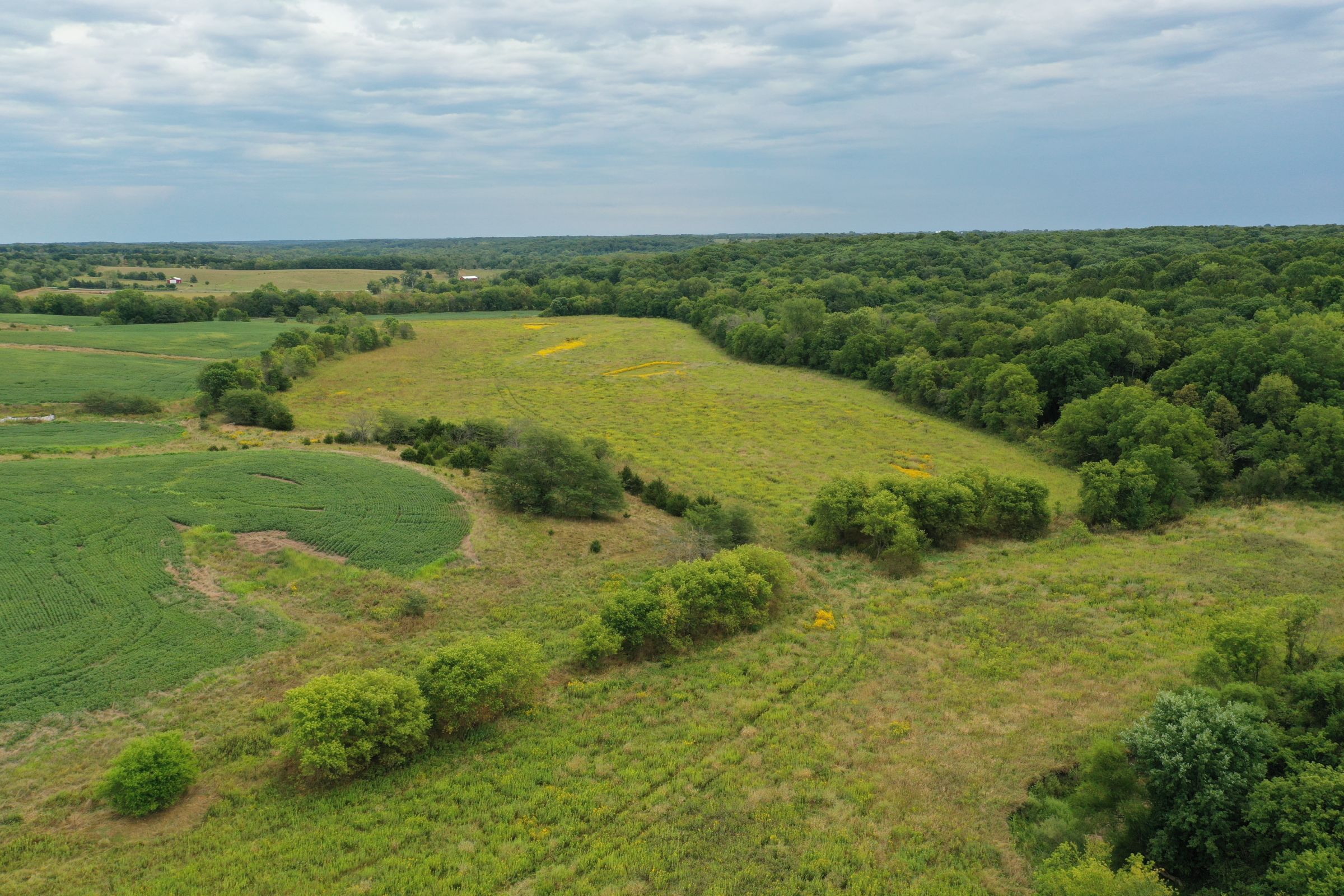 land-clarke-county-iowa-86-acres-listing-number-15147-1-2020-09-02-143253.jpg