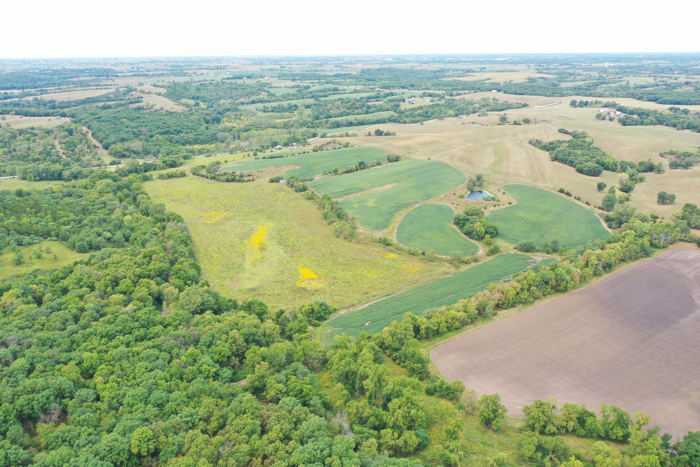 land-clarke-county-iowa-86-acres-listing-number-15147-1-2020-09-02-143455.jpg