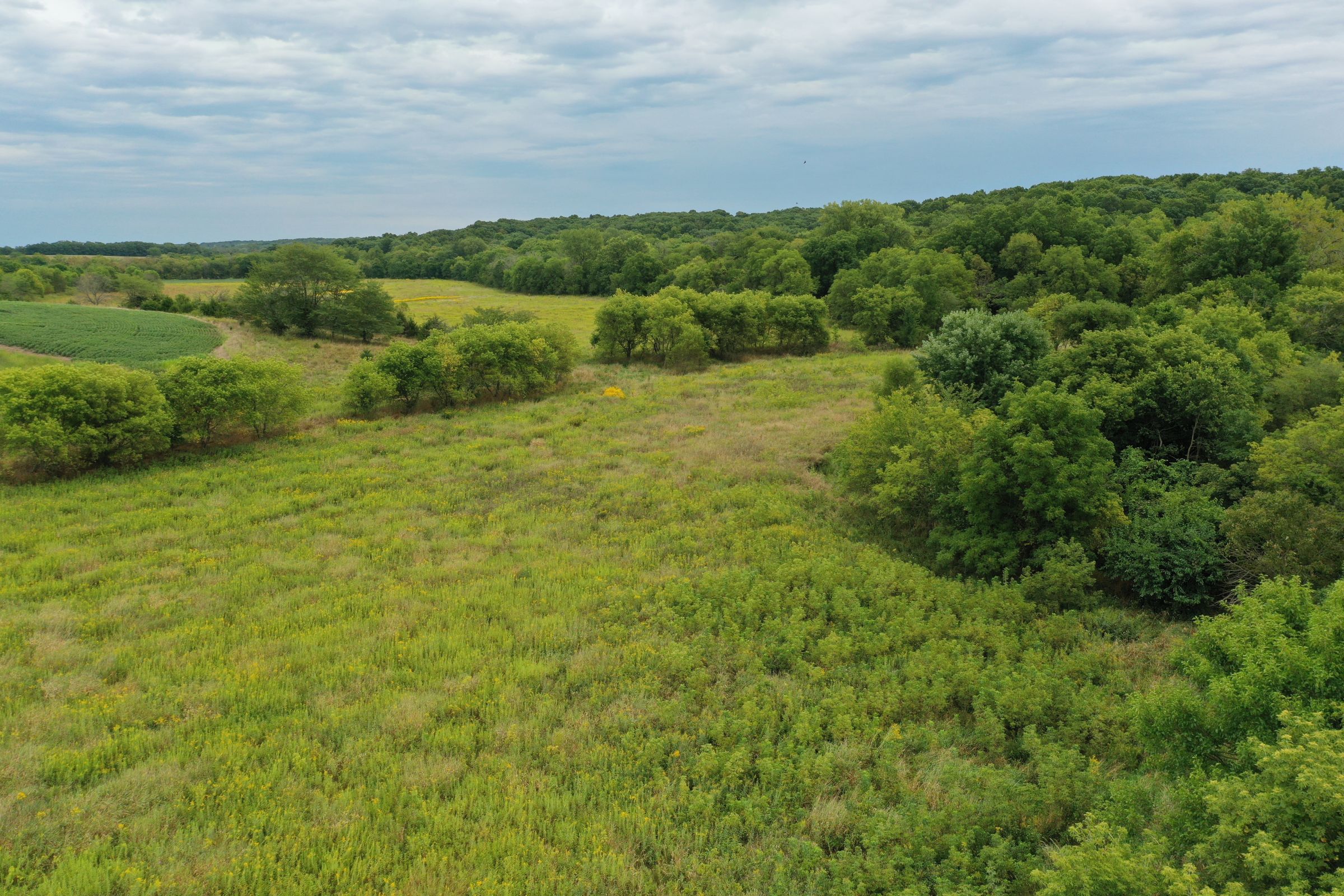 land-clarke-county-iowa-86-acres-listing-number-15147-2-2020-09-02-143151.jpg