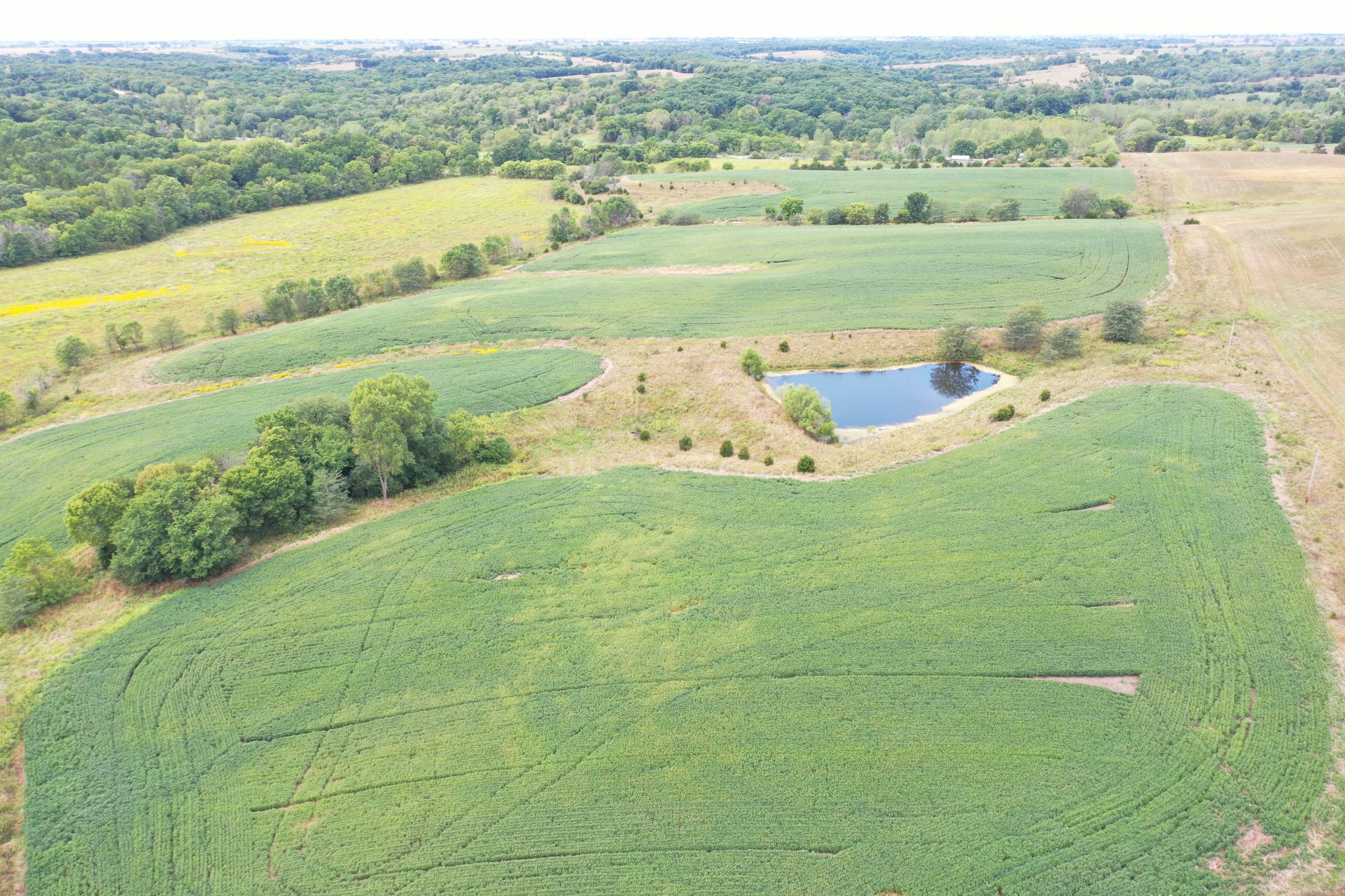 land-clarke-county-iowa-86-acres-listing-number-15147-2-2020-09-02-143404.jpg