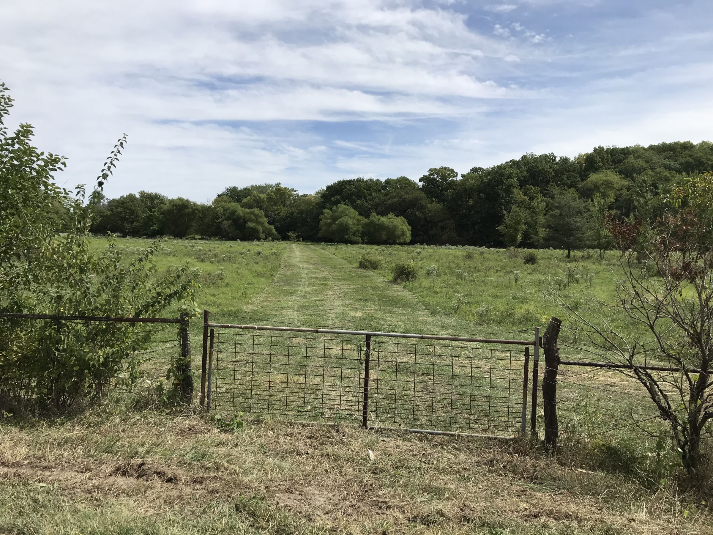 land-lucas-county-iowa-17-acres-listing-number-15148-0-2020-09-01-164842.JPG