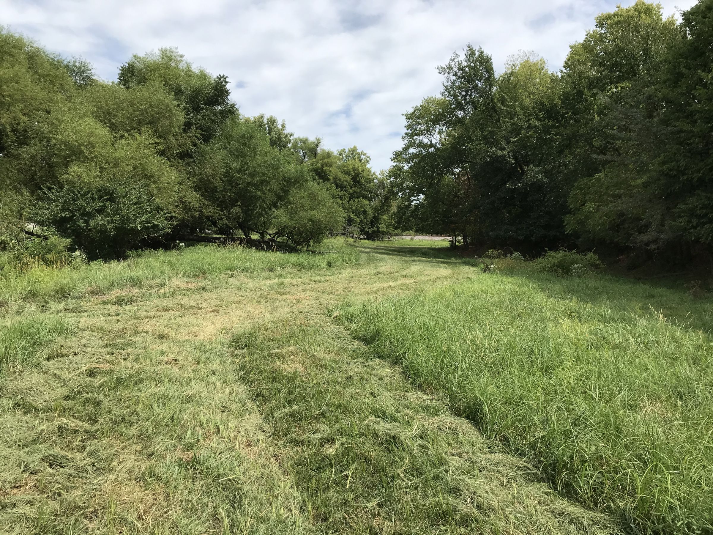 land-lucas-county-iowa-17-acres-listing-number-15148-1-2020-09-01-164843.JPG