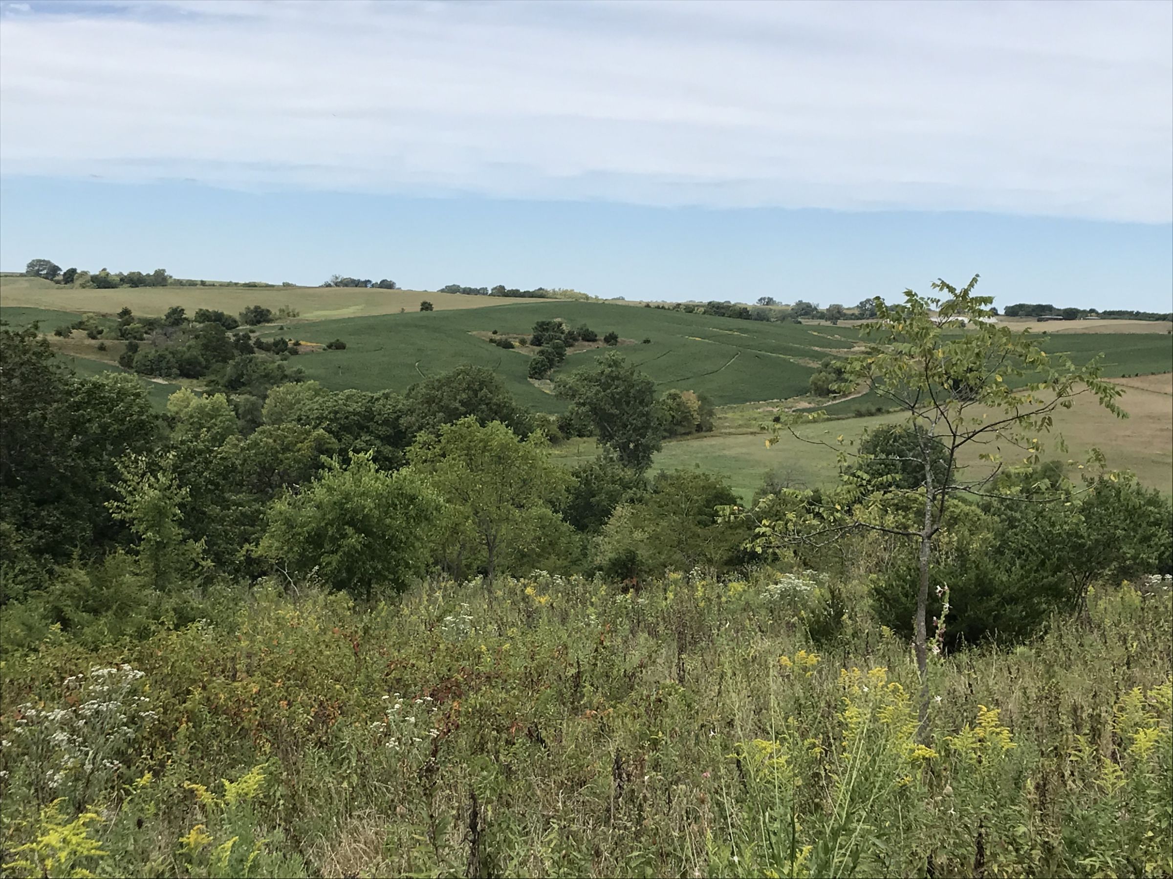 land-lucas-county-iowa-17-acres-listing-number-15148-2-2020-09-01-164845.JPG