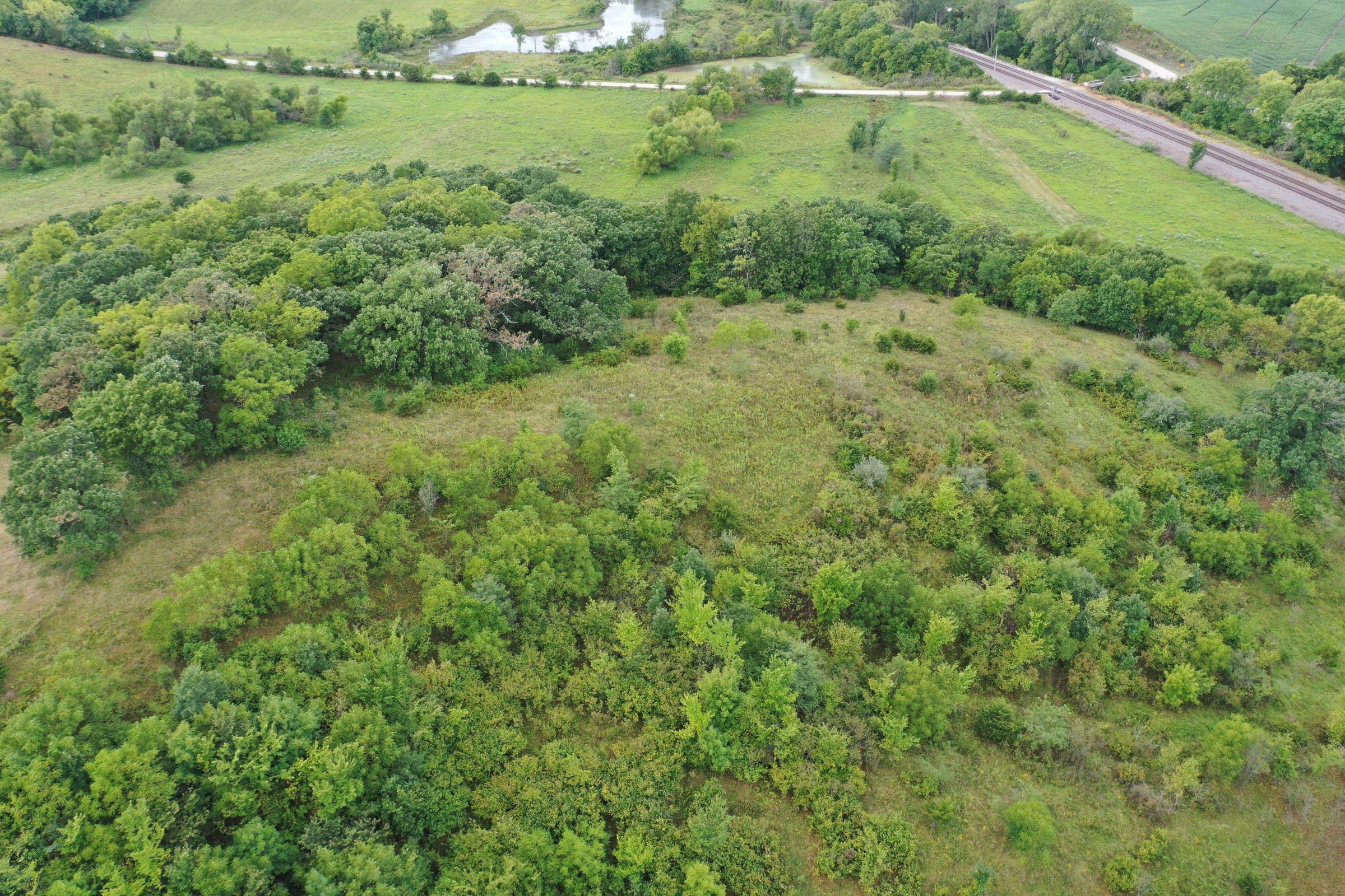 land-lucas-county-iowa-17-acres-listing-number-15148-4-2020-09-08-201318.jpg