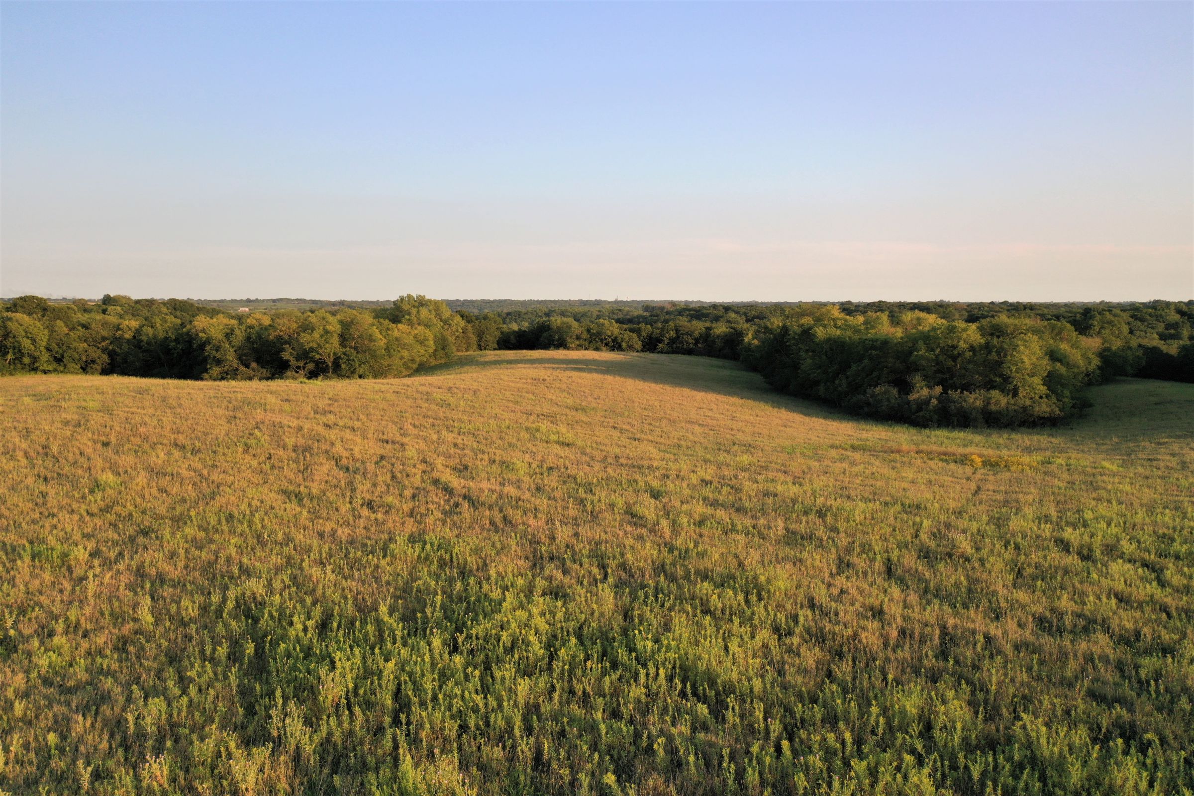 land-marion-county-iowa-317-acres-listing-number-15157-0-2020-09-04-143128.jpg