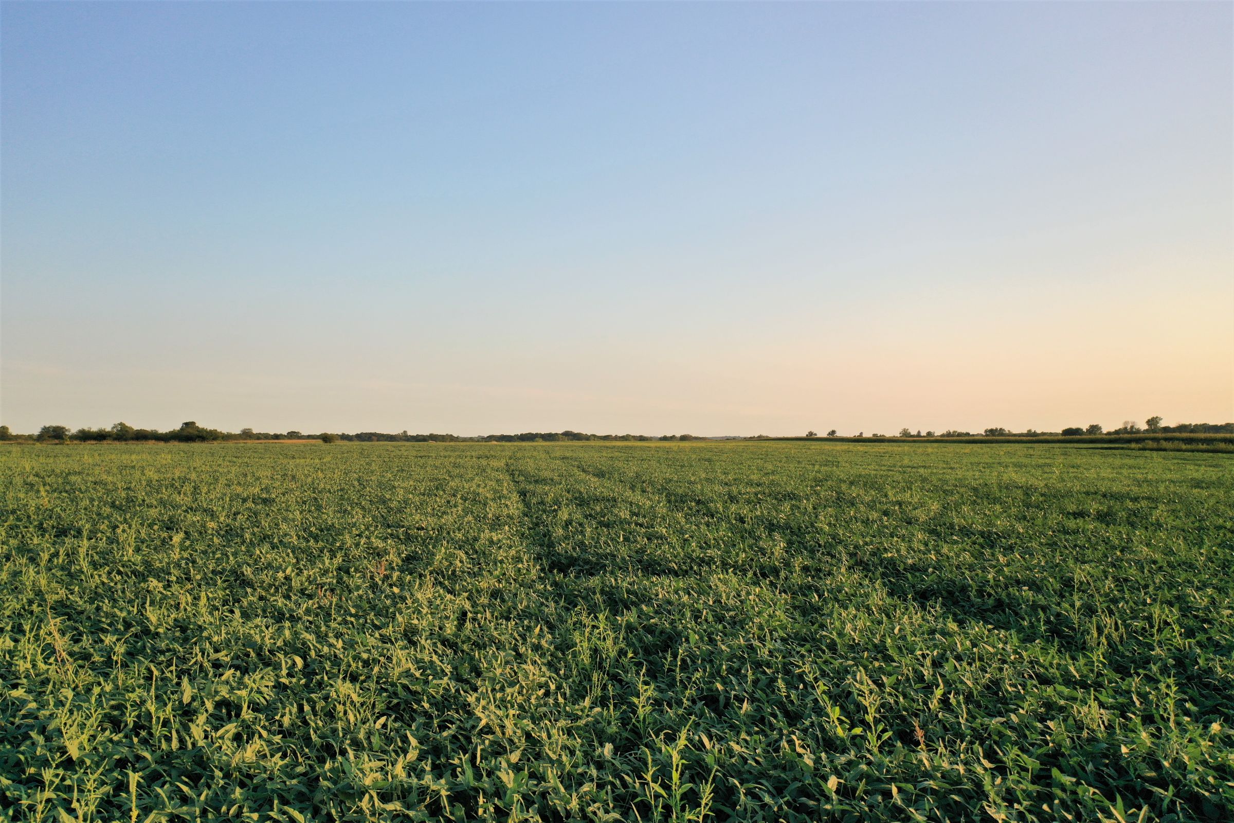 land-marion-county-iowa-317-acres-listing-number-15157-1-2020-09-04-143130.jpg