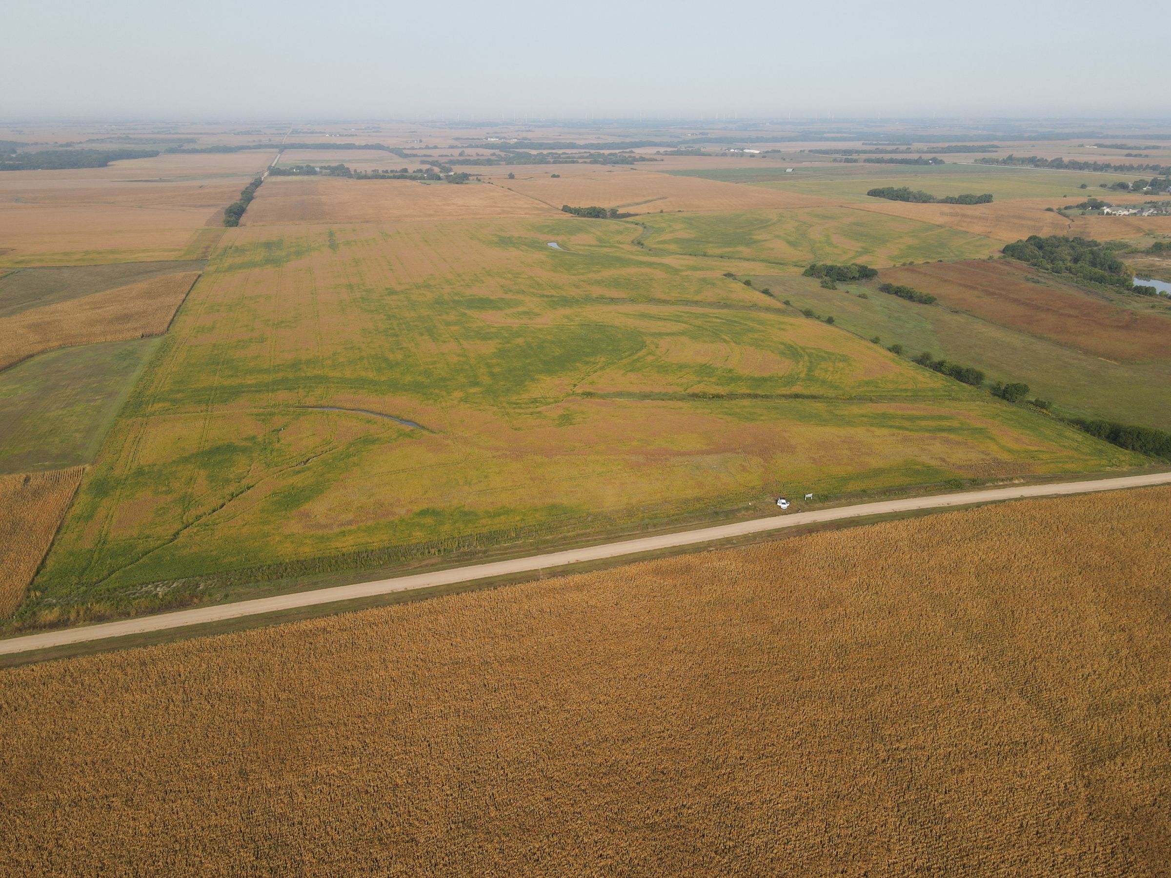 land-saline-county-nebraska-116-acres-listing-number-15166-0-2020-09-16-190237.JPG