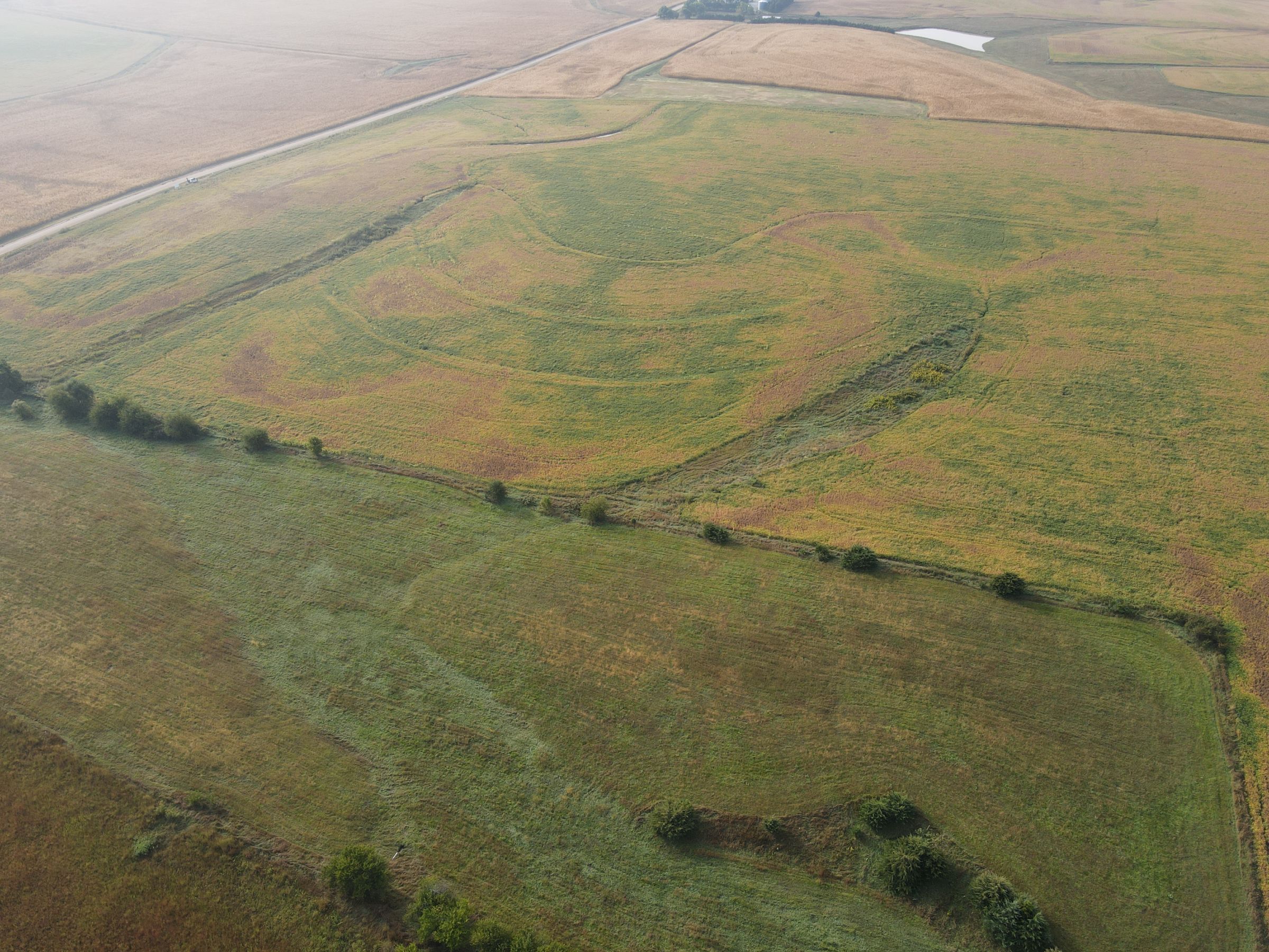 land-saline-county-nebraska-116-acres-listing-number-15166-0-2020-09-21-155014.JPG