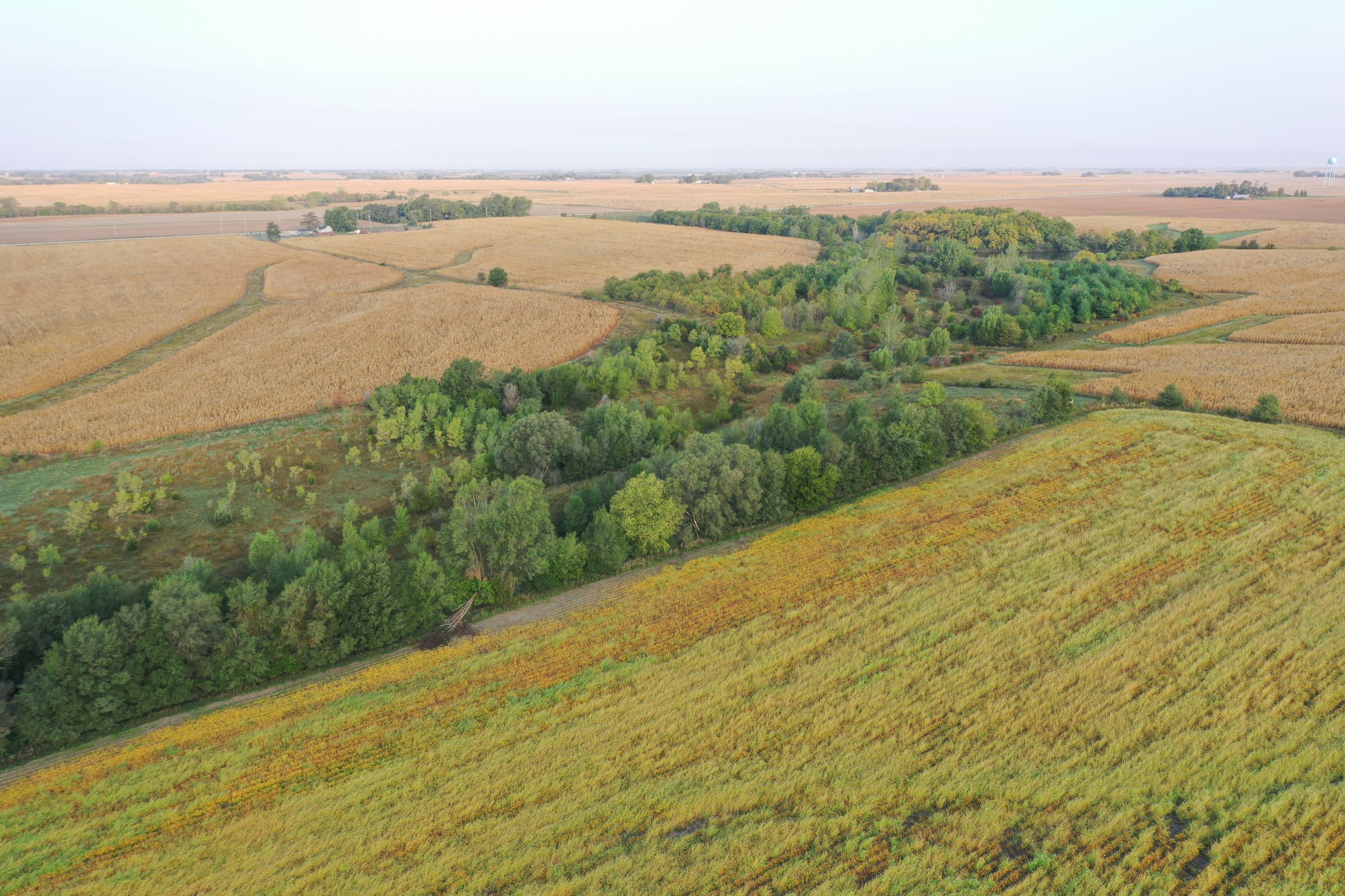 Dallas County Iowa Farmland for Sale