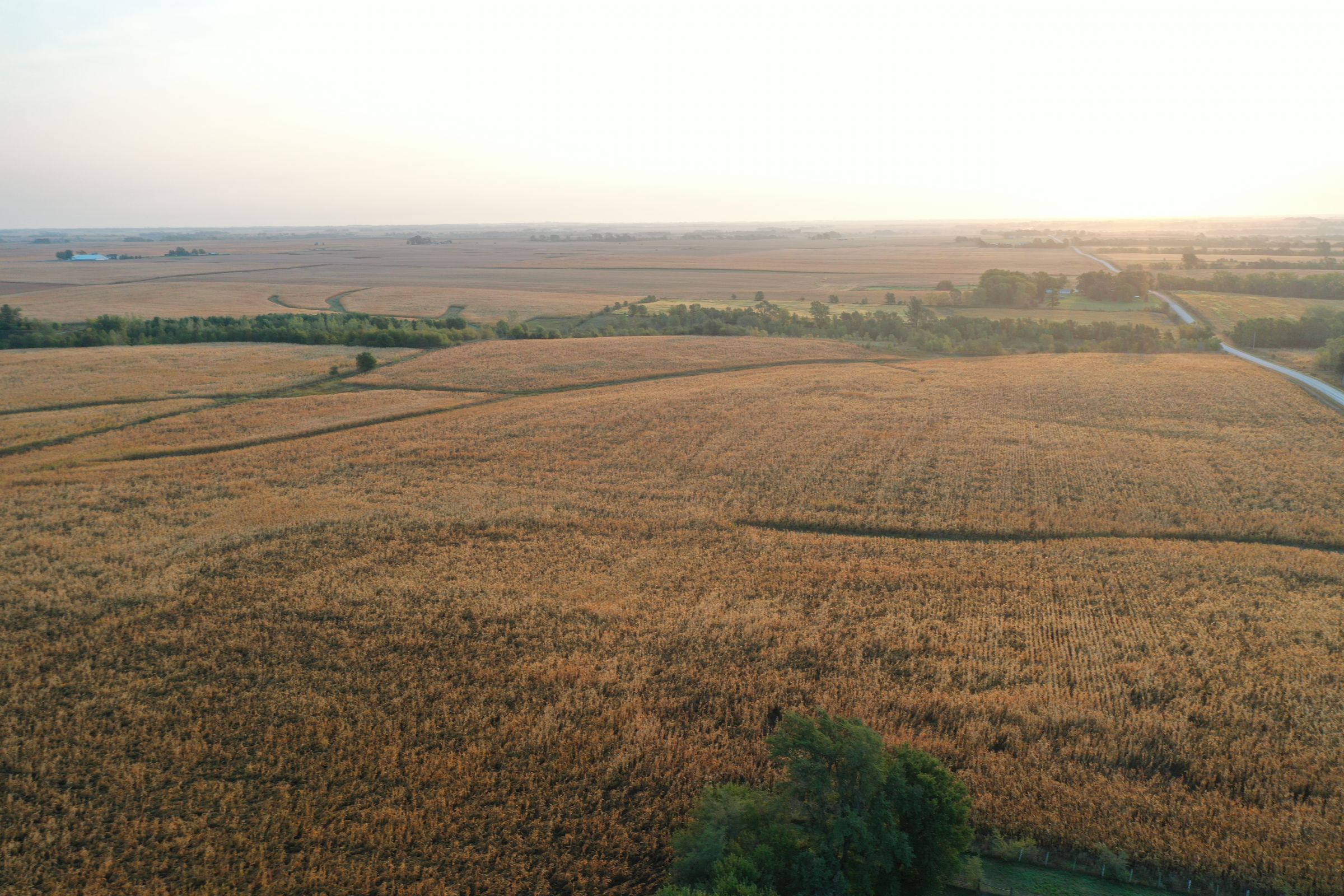 Dallas County Iowa Farmland for Sale