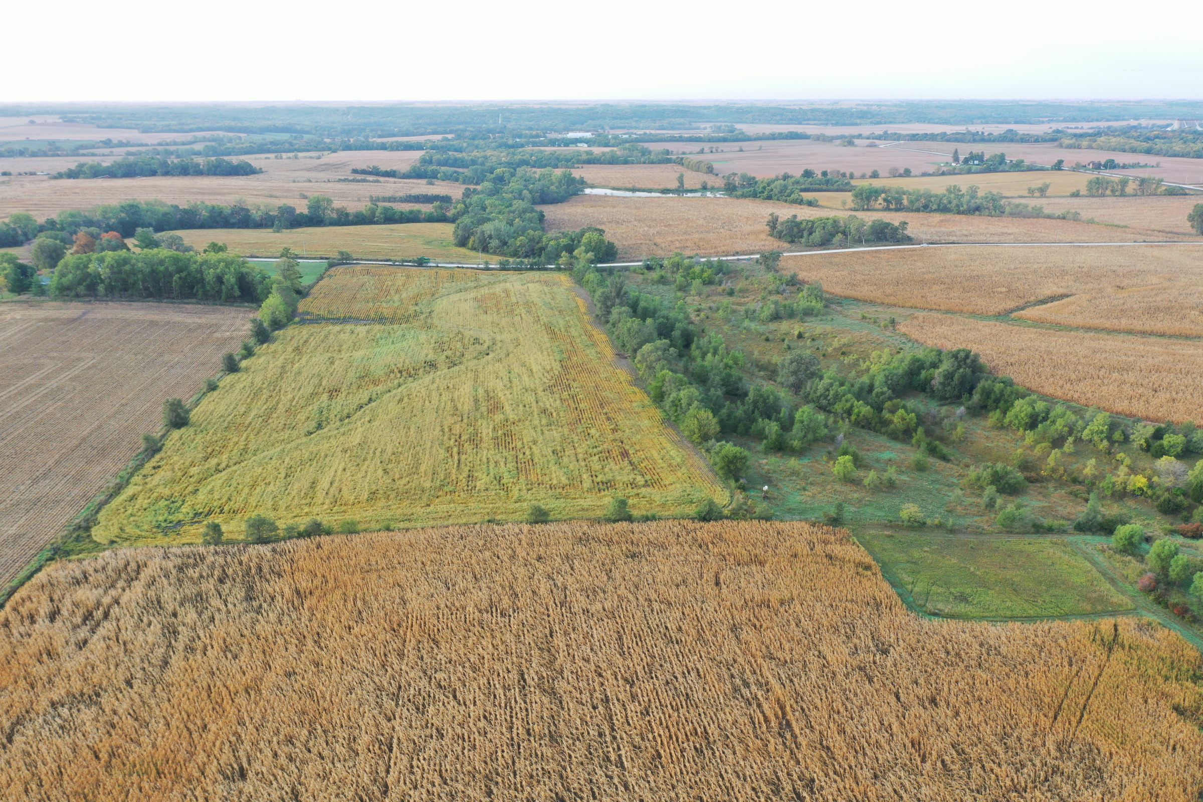 Dallas County Iowa Farmland for Sale