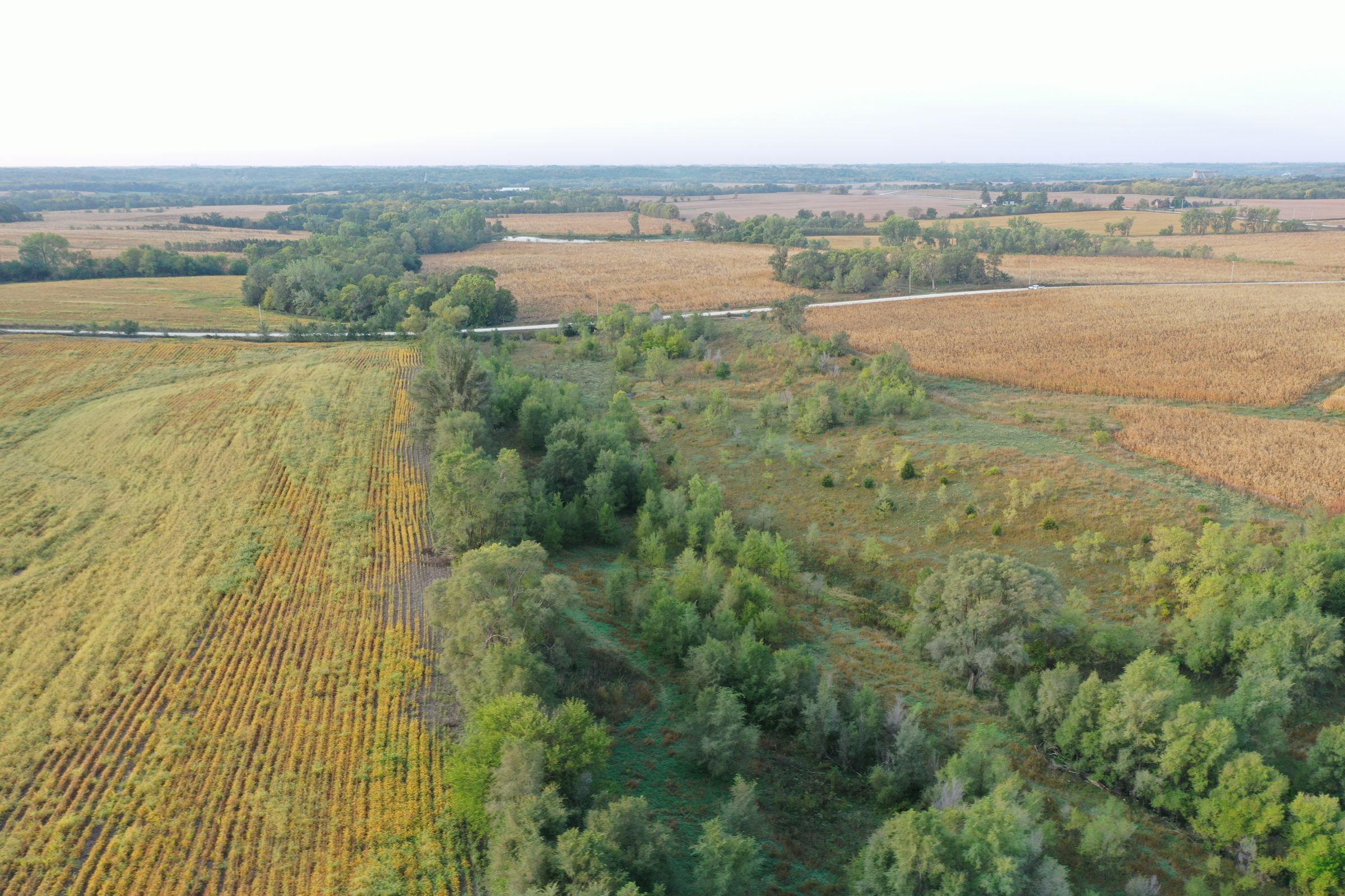 Dallas County Iowa Farmland for Sale