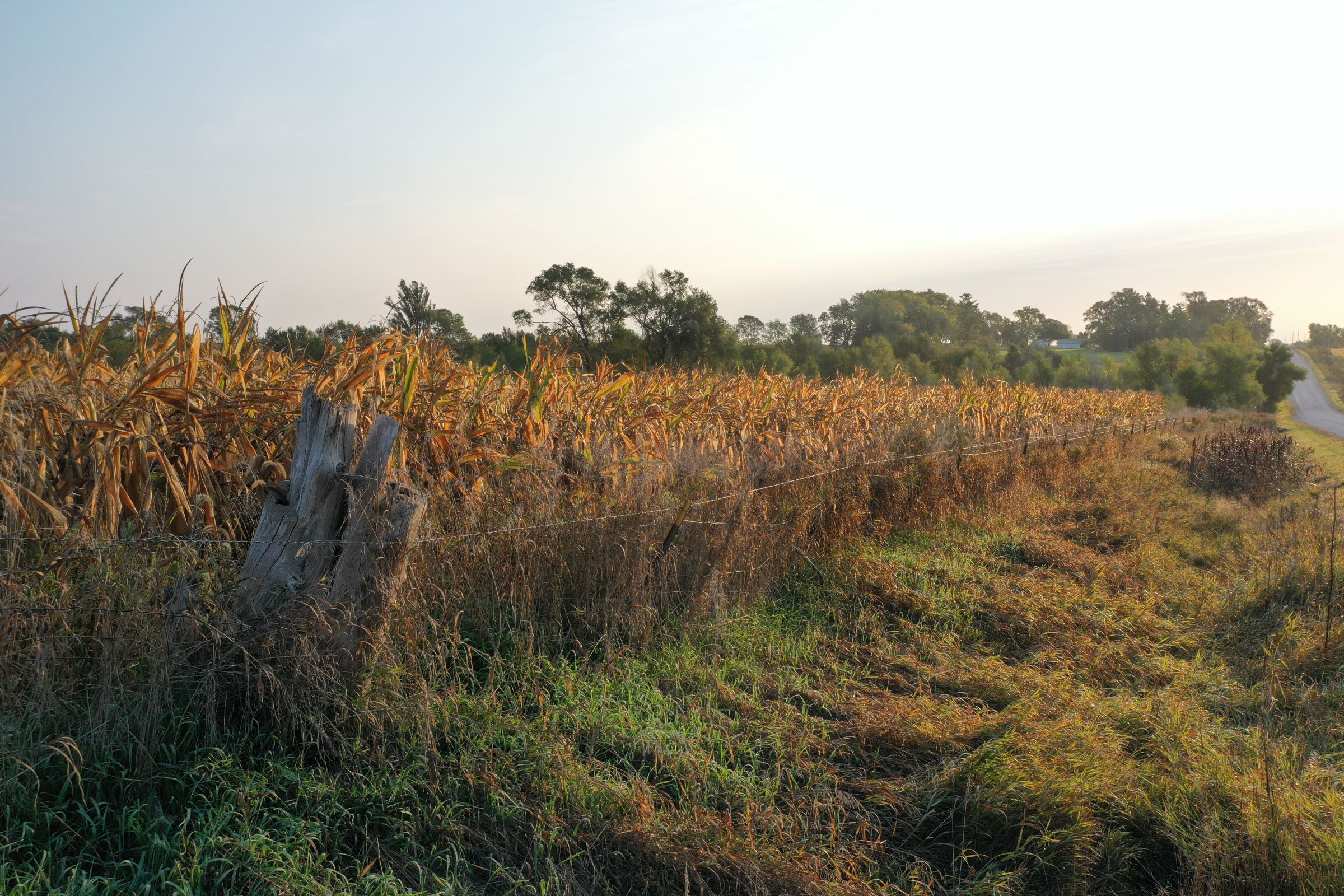 Dallas County Iowa Farmland for Sale